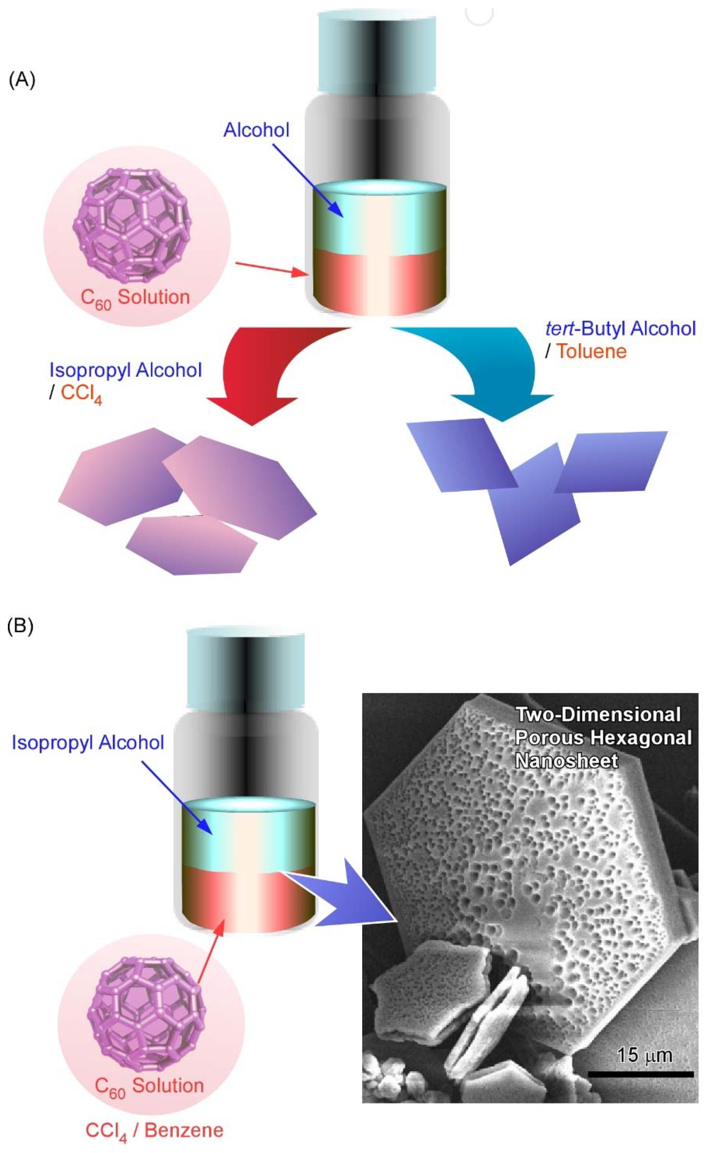 Molecules 26 04636 g003