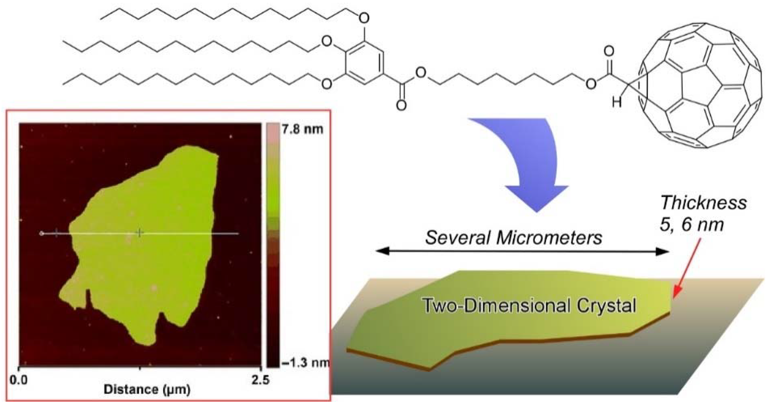 Molecules 26 04636 g010