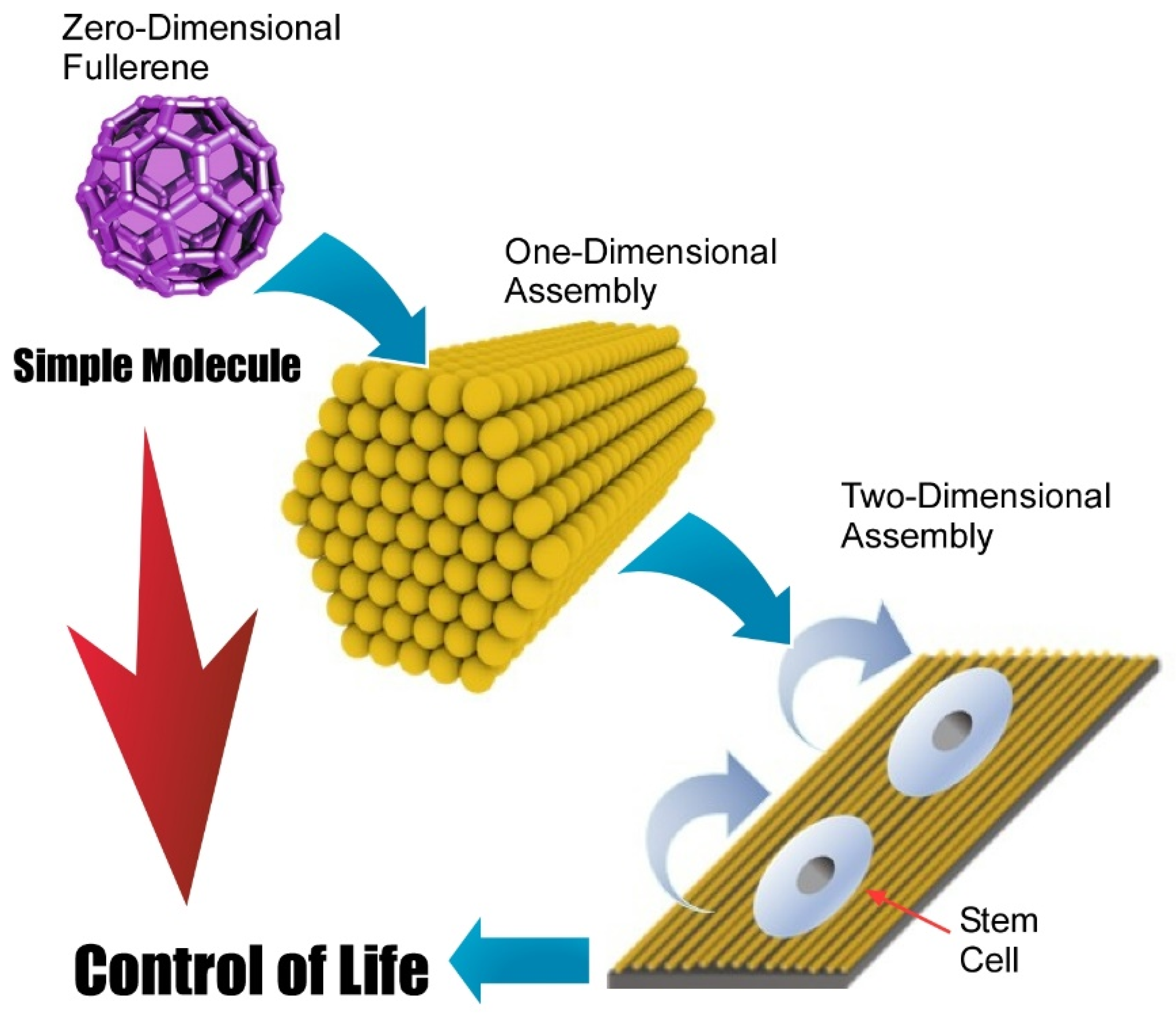 Molecules 26 04636 g012
