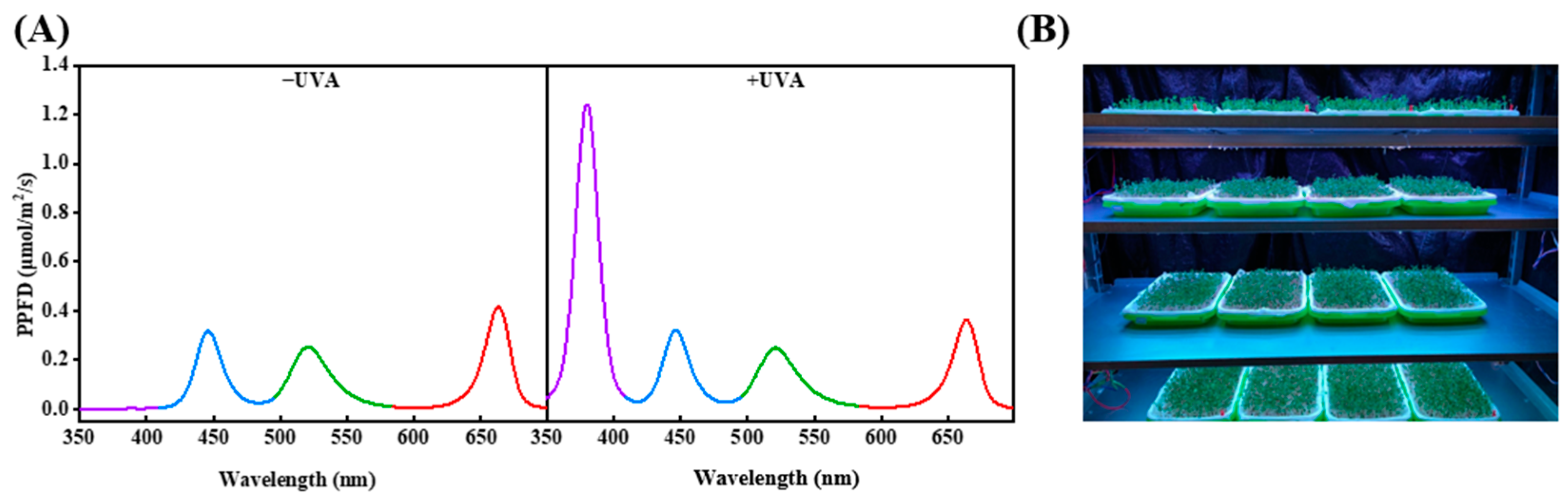 Molecules 26 04646 g009
