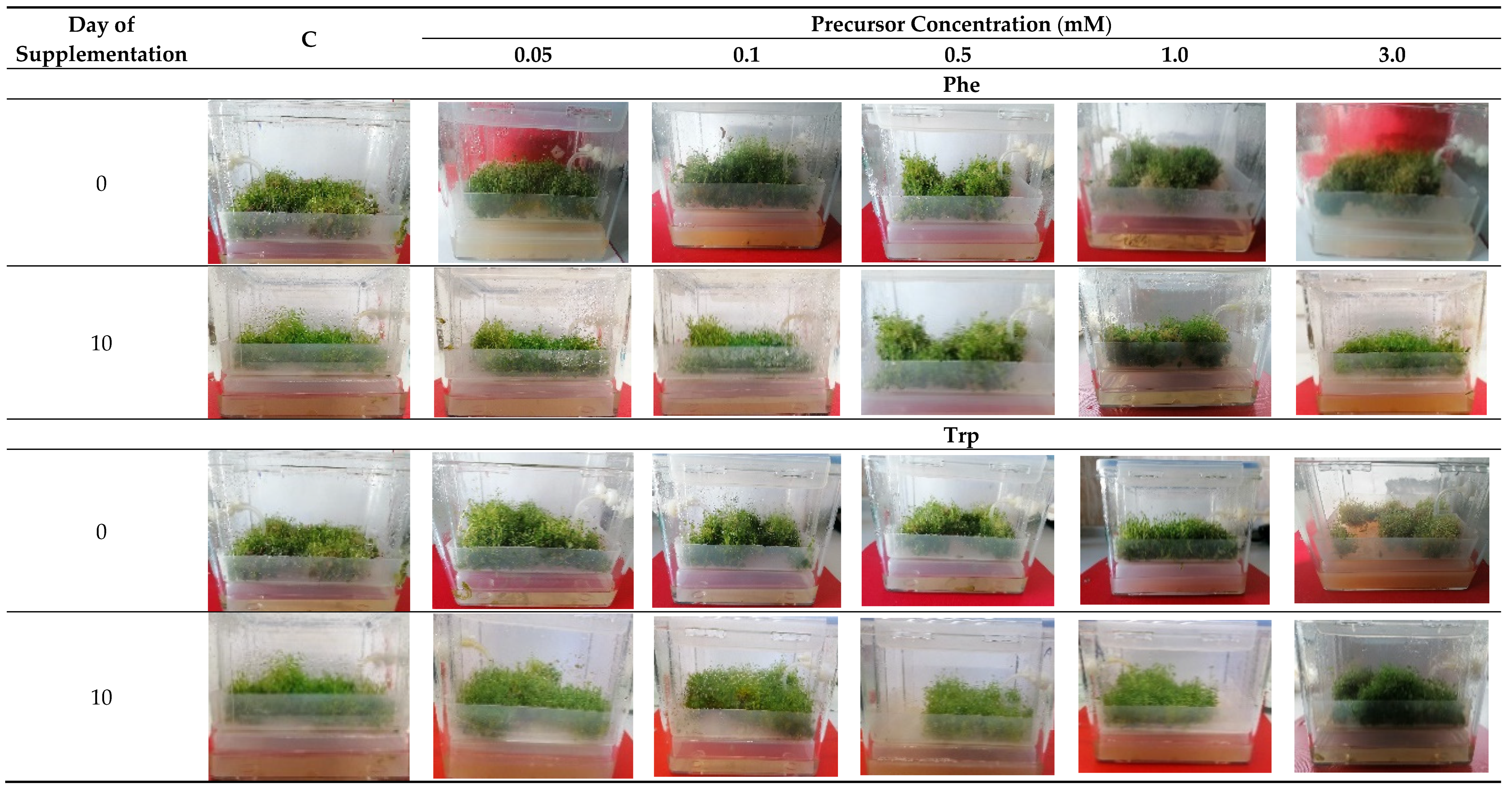 Molecules Free Full Text Precursor Boosted Production of