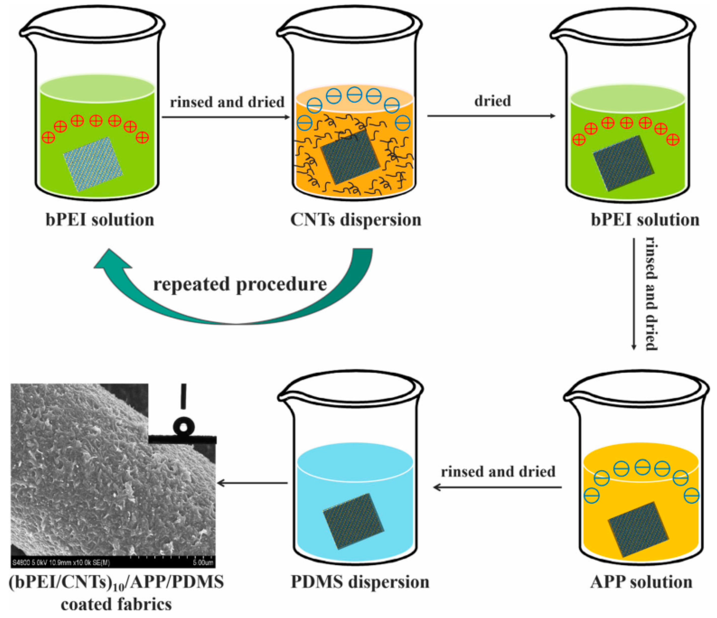 Molecules 26 04670 g016