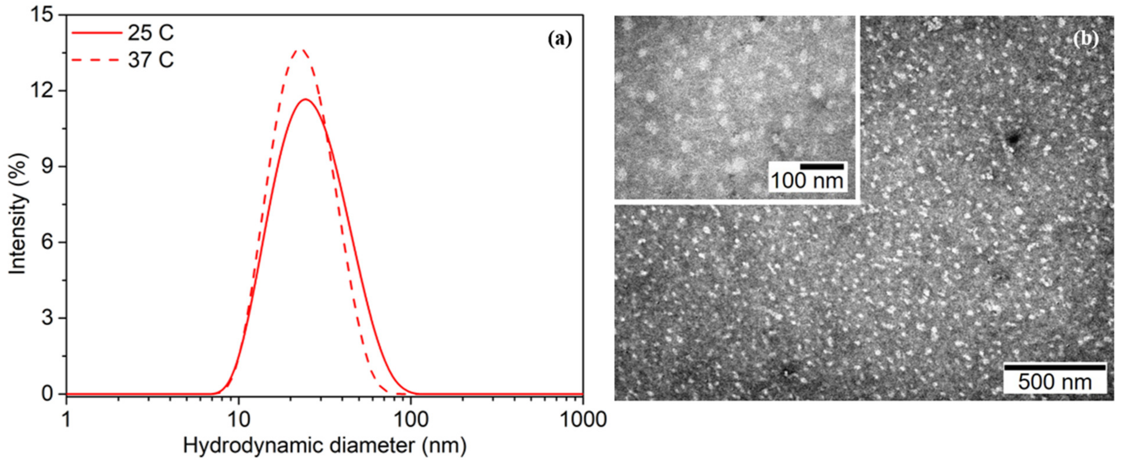 Molecules 26 04679 g003