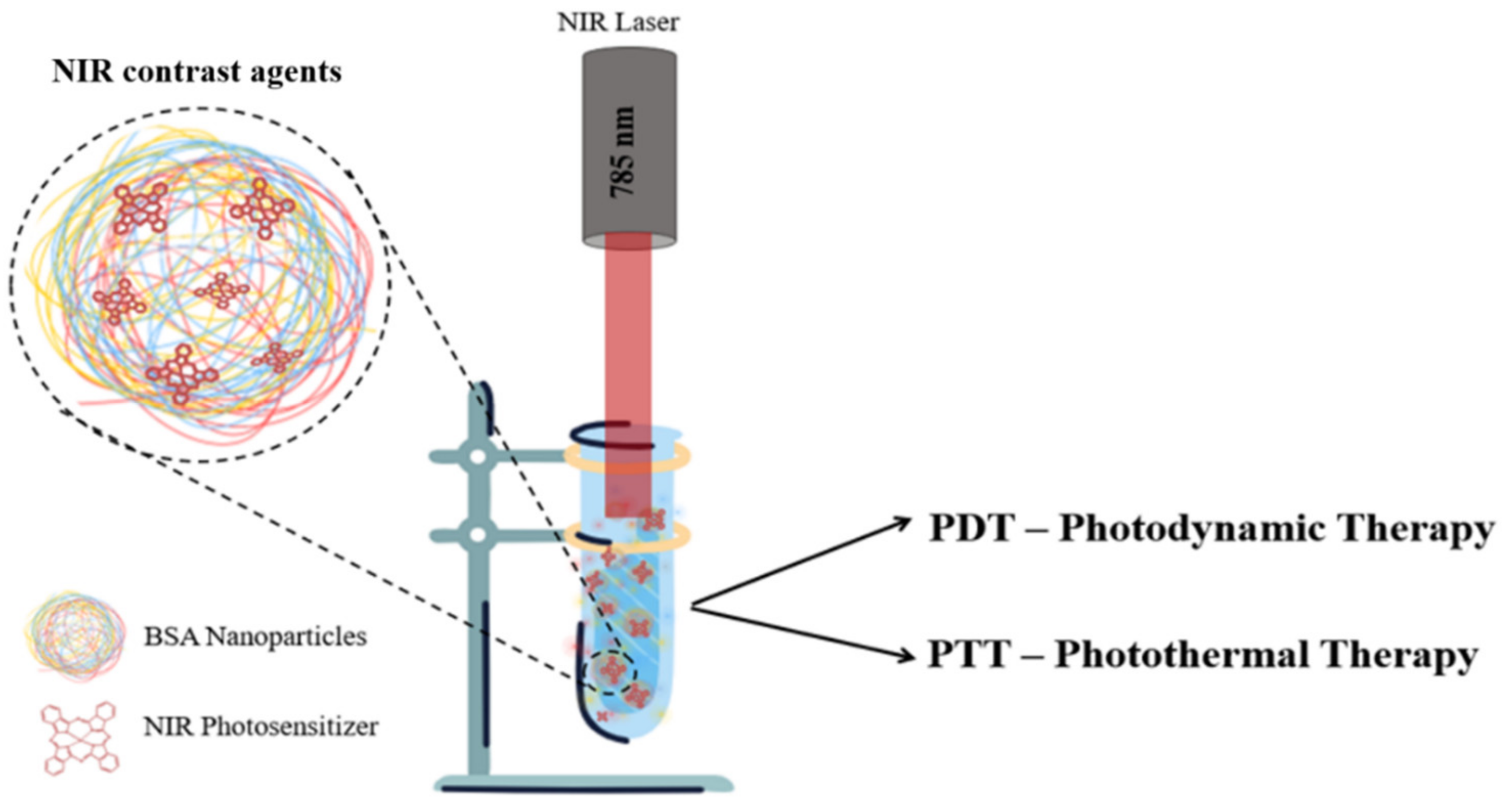 Molecules 26 04679 sch002