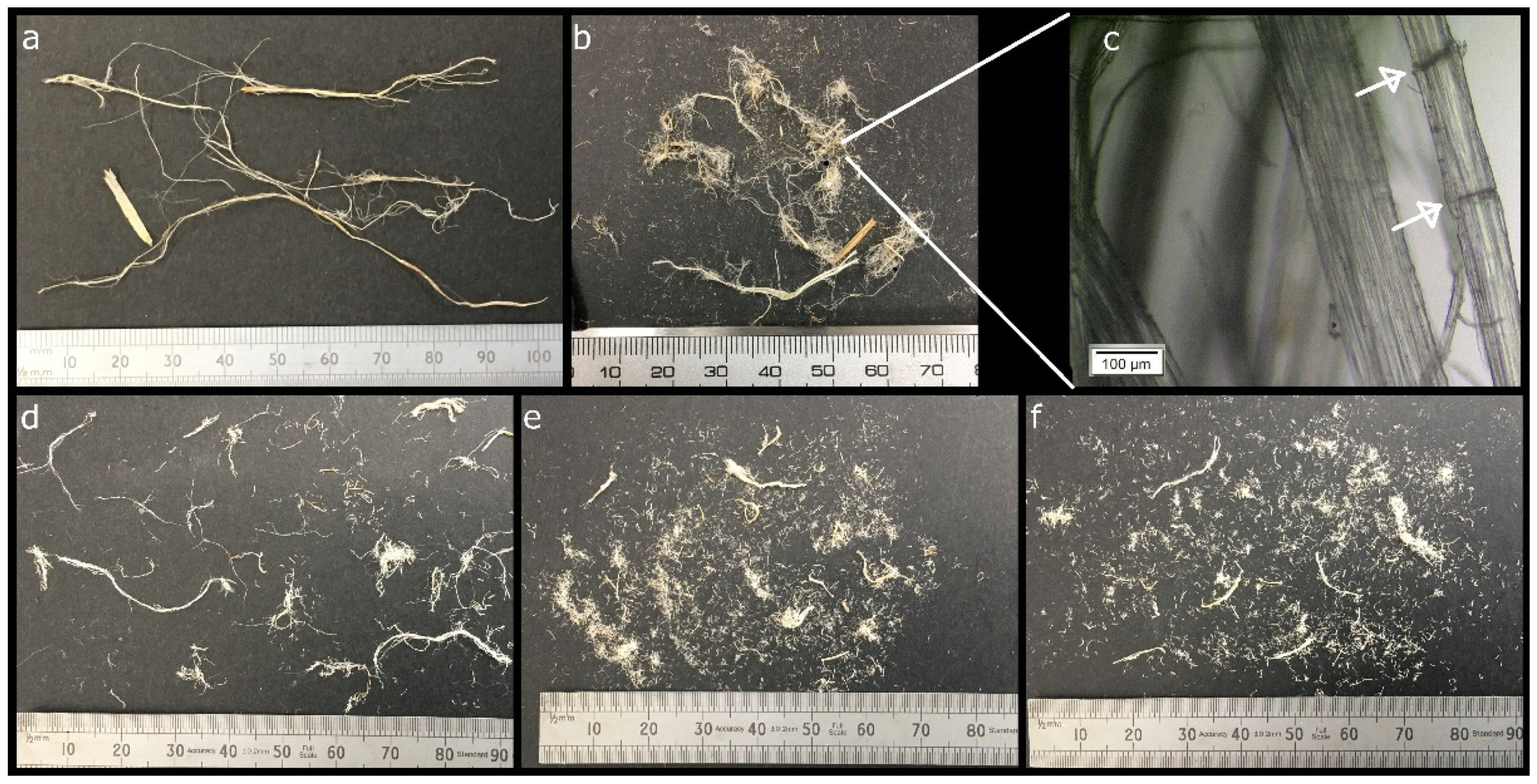 Molecules 26 04723 g003
