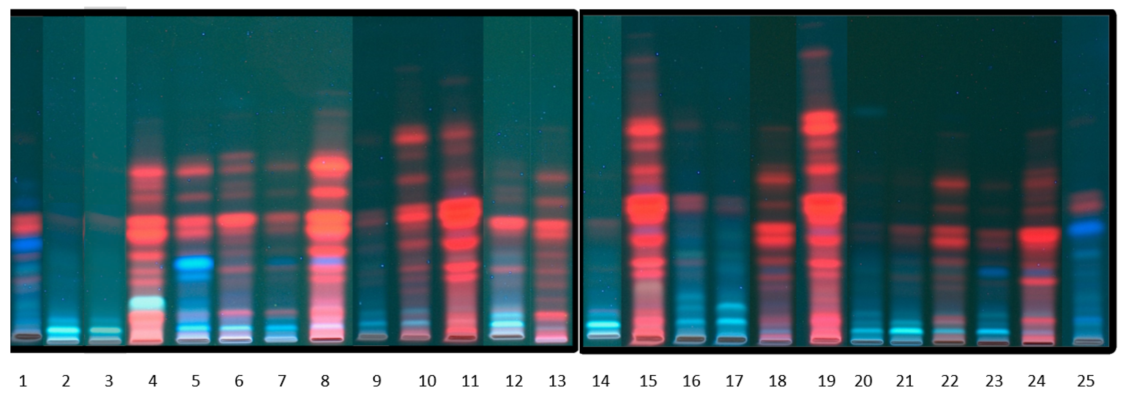 Molecules 26 04734 g003