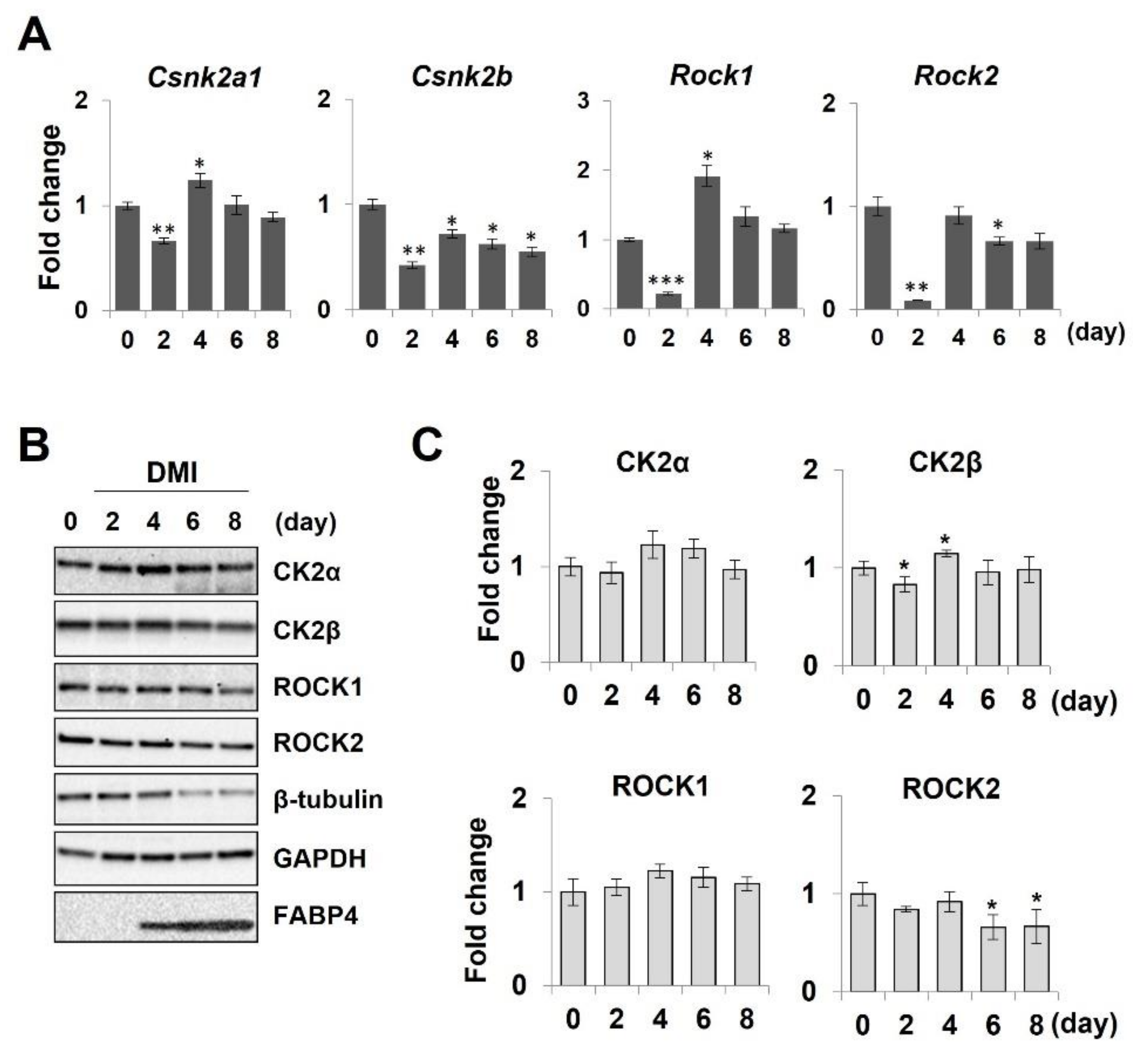 Molecules 26 04747 g008