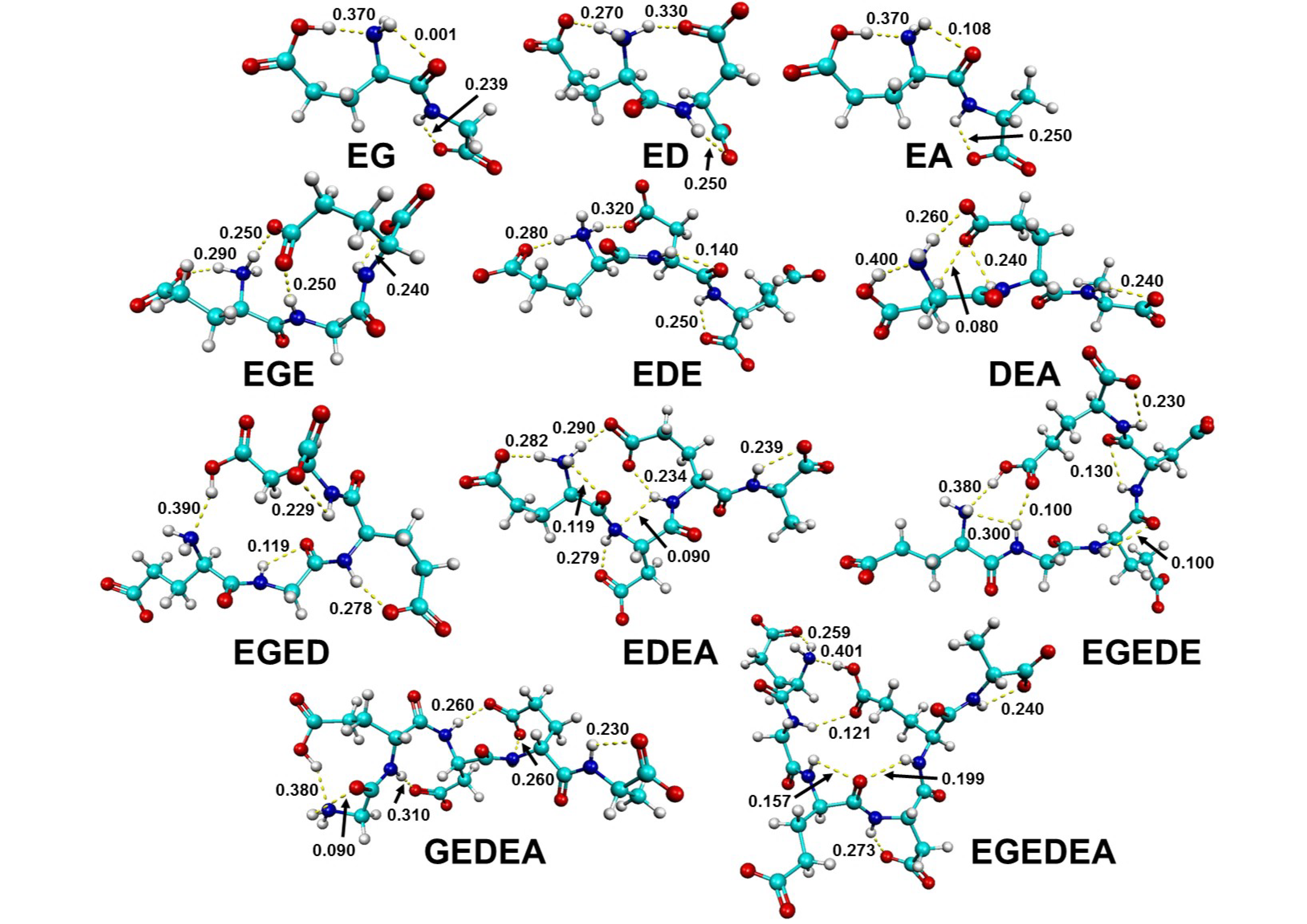 Molecules Free Full Text Tracking the Amide I and COO