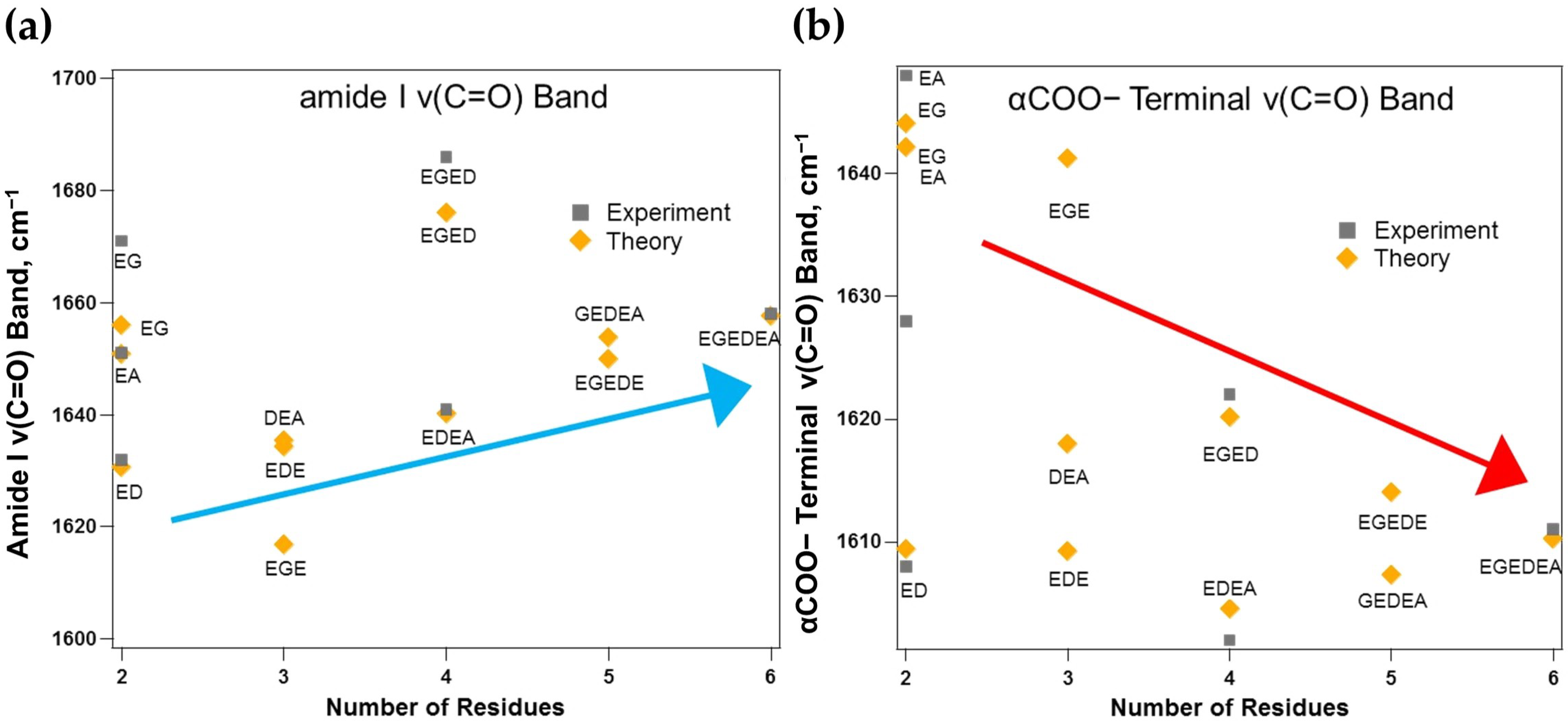 Molecules Free Full Text Tracking the Amide I and COO