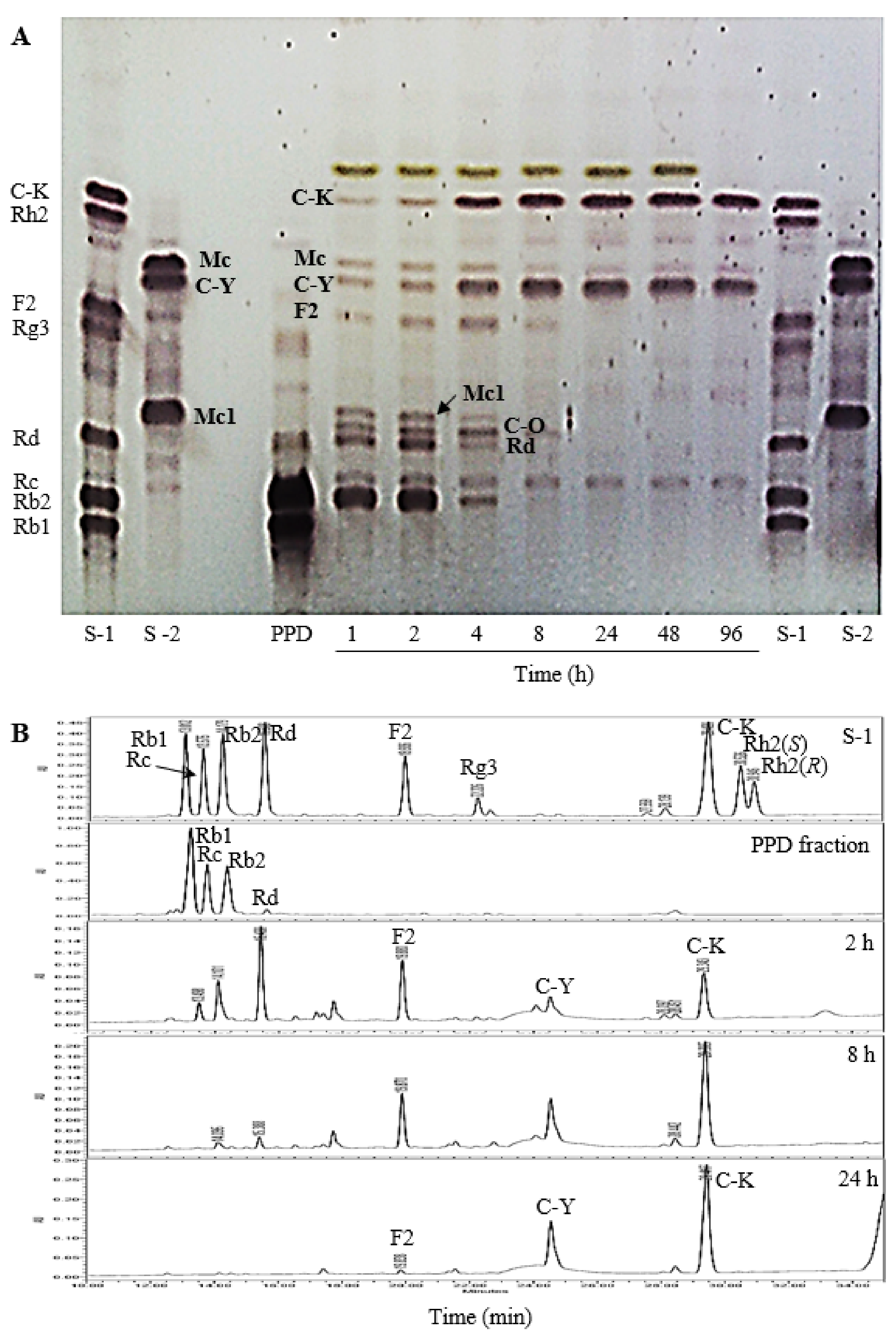 Molecules 26 04820 g003