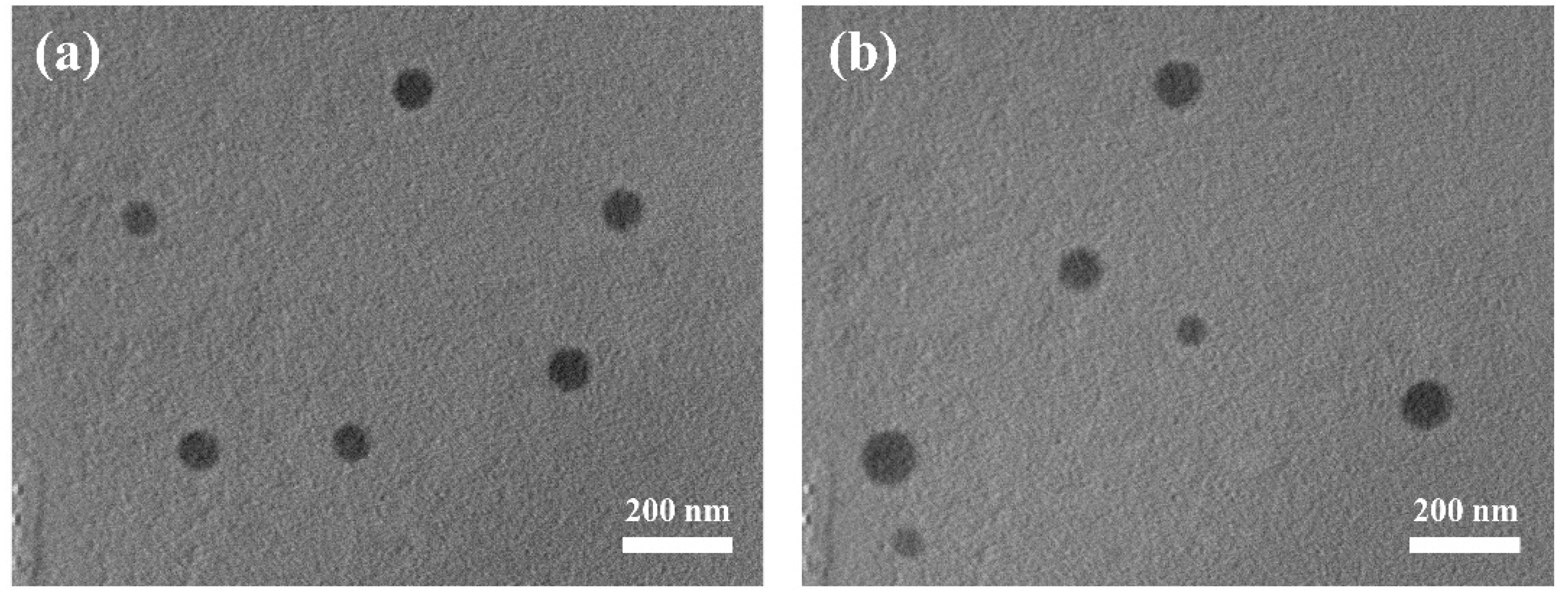 Molecules 26 04827 g001