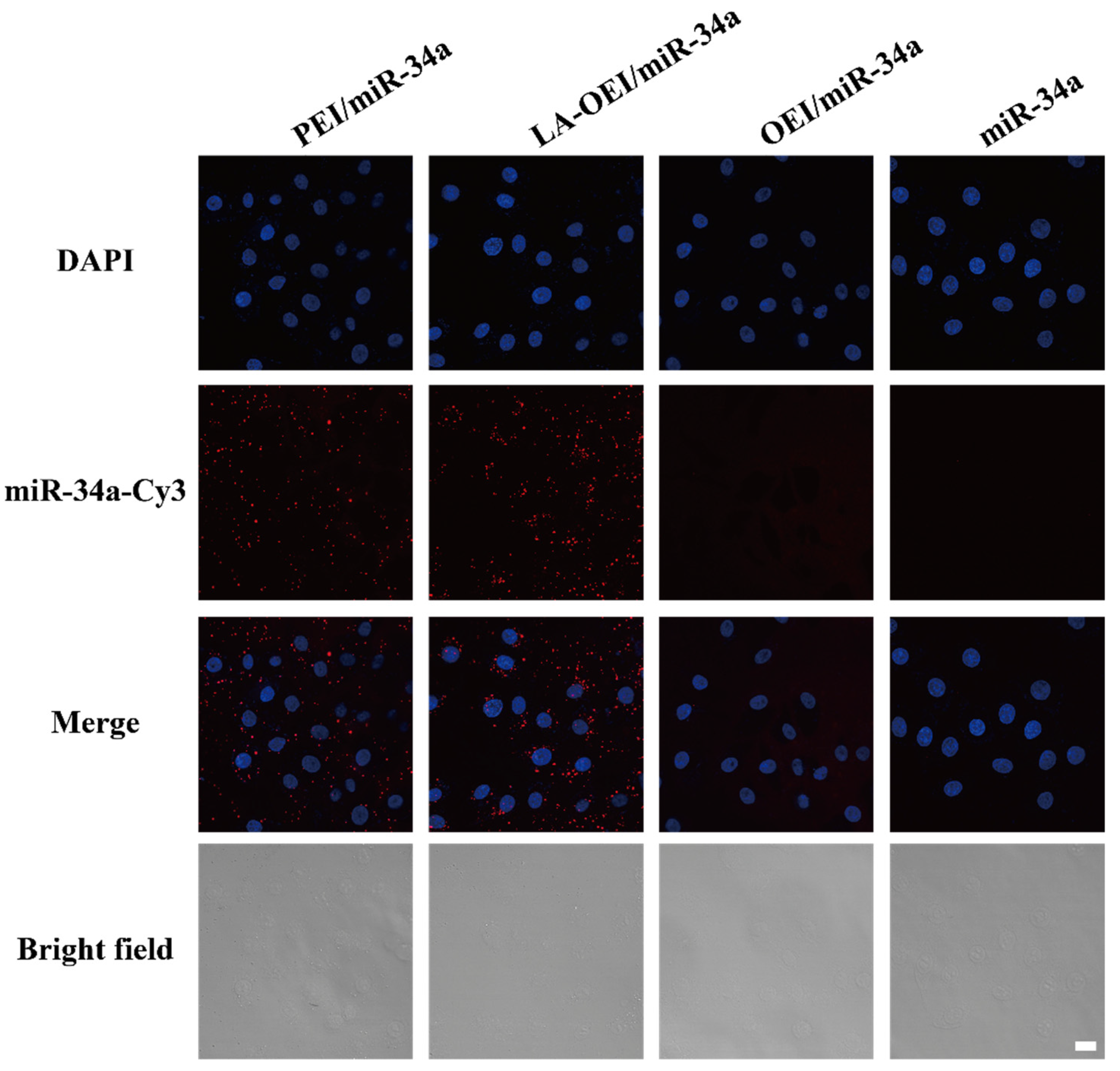 Molecules 26 04827 g002