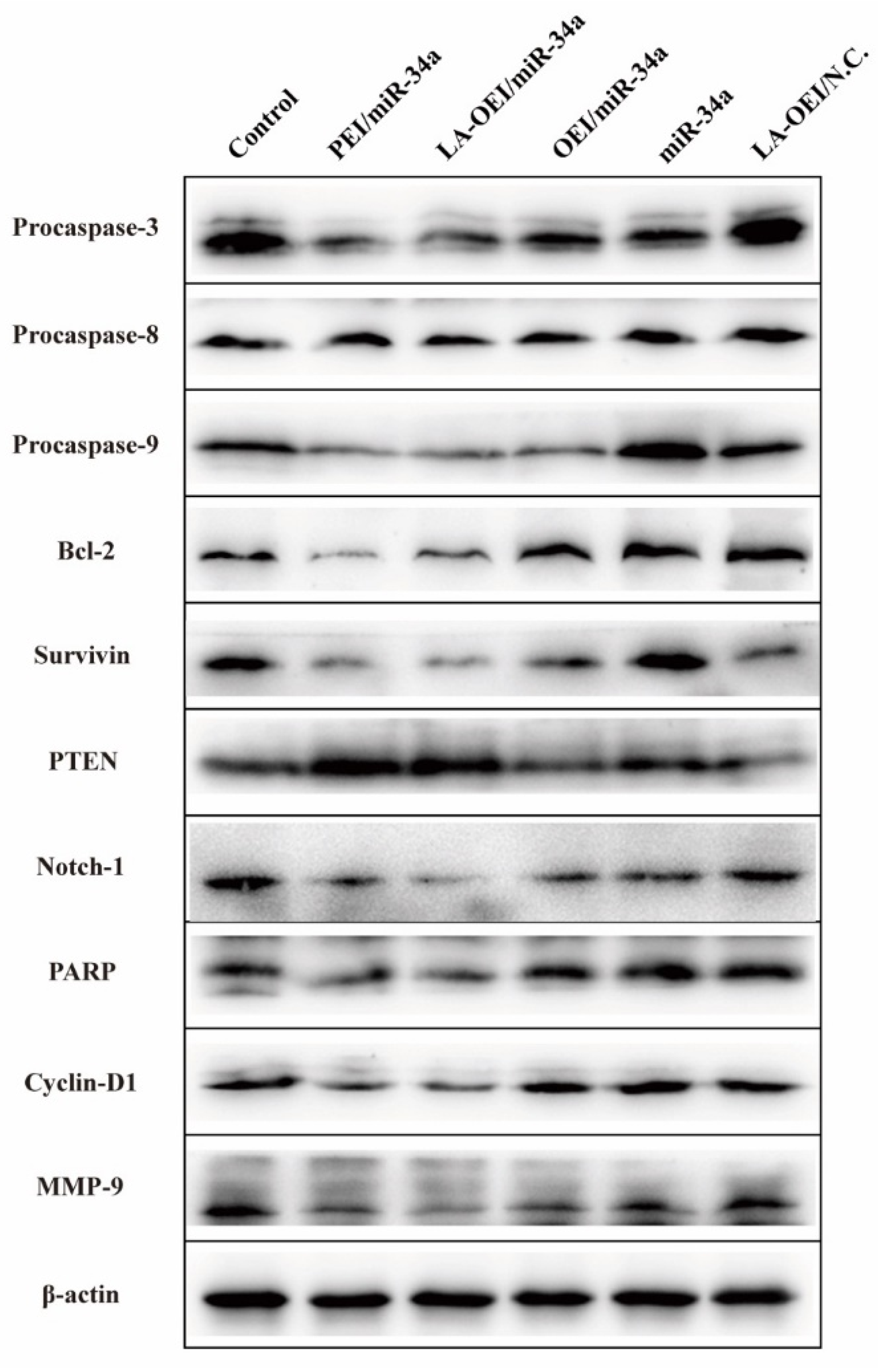 Molecules 26 04827 g006