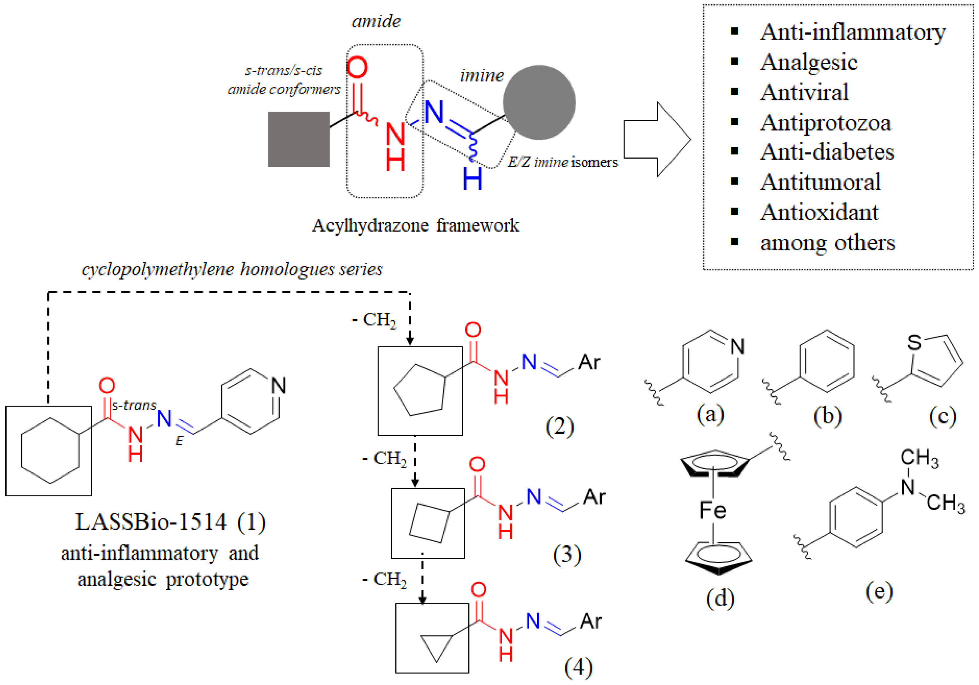 Molecules 26 04828 g001