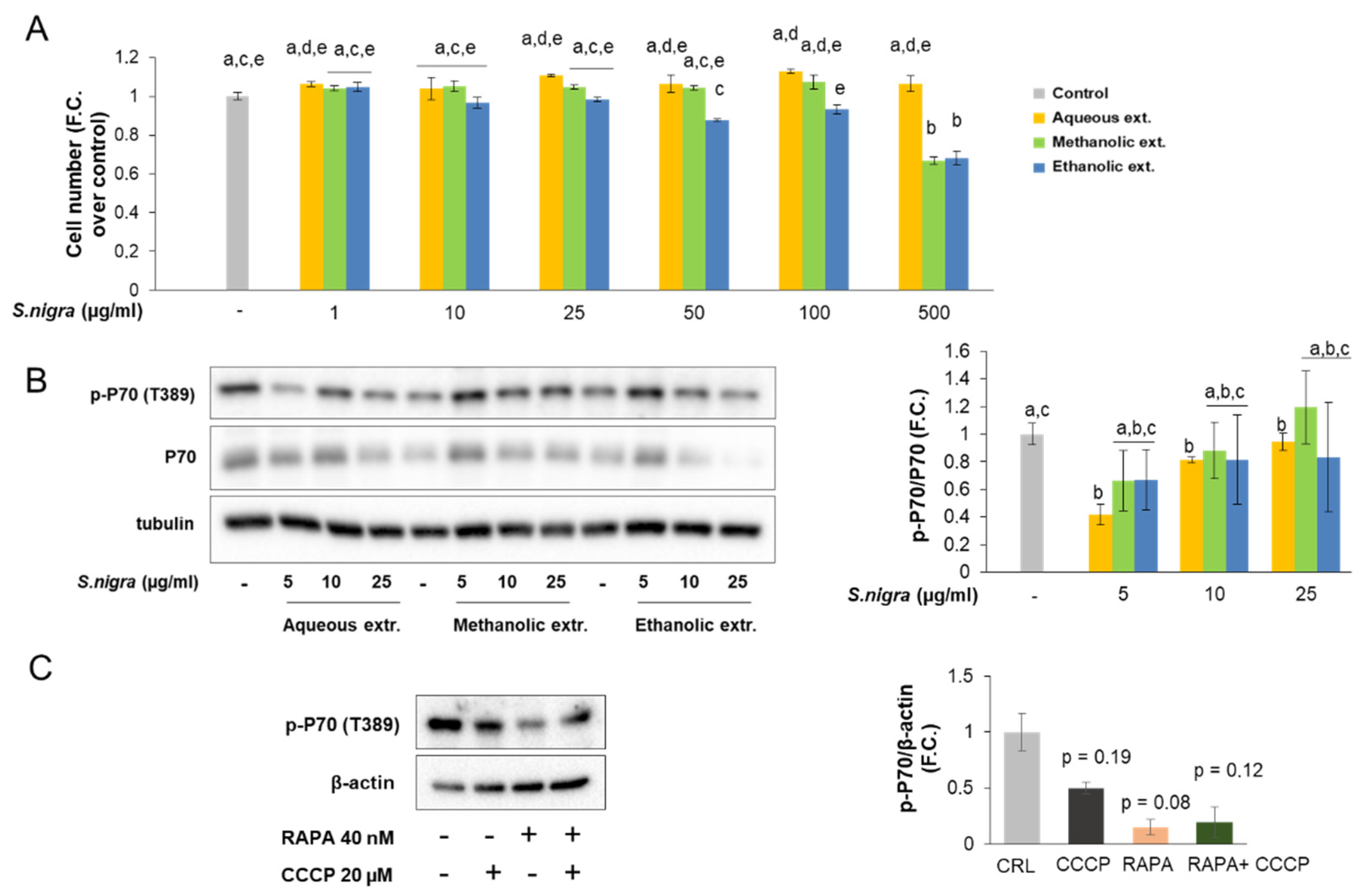 Molecules 26 04829 g002 Molecules 26 04829 g002