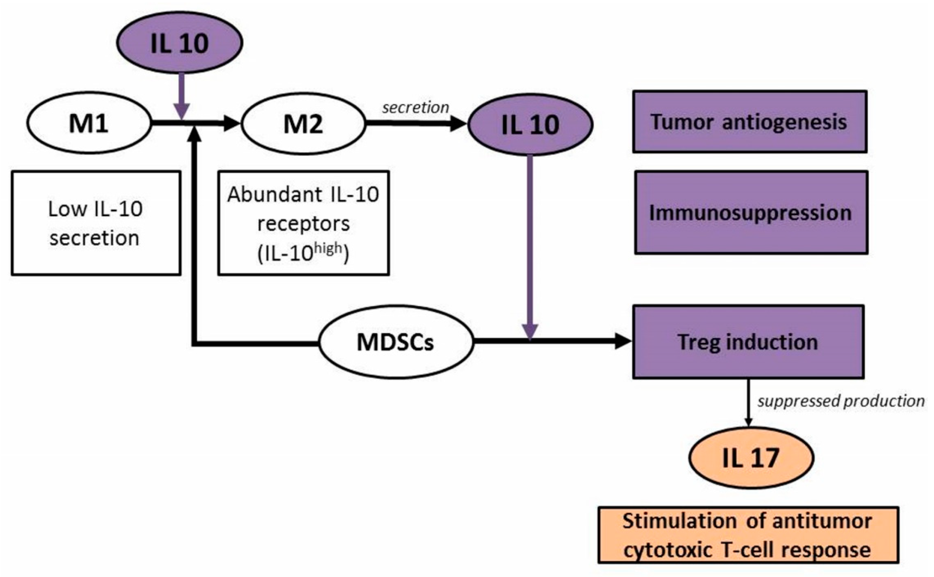 Molecules 26 04855 g004