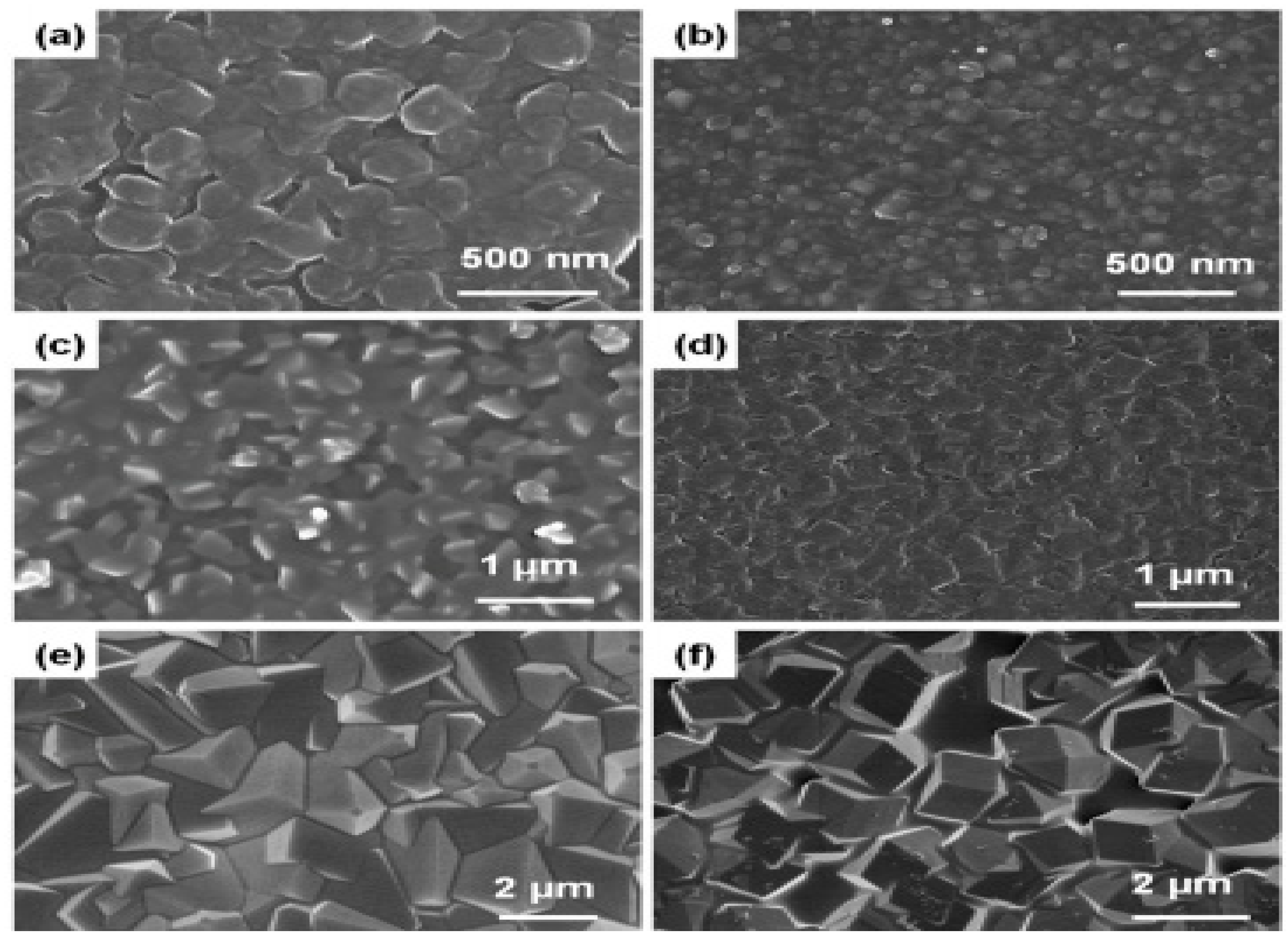Molecules 26 04948 g002