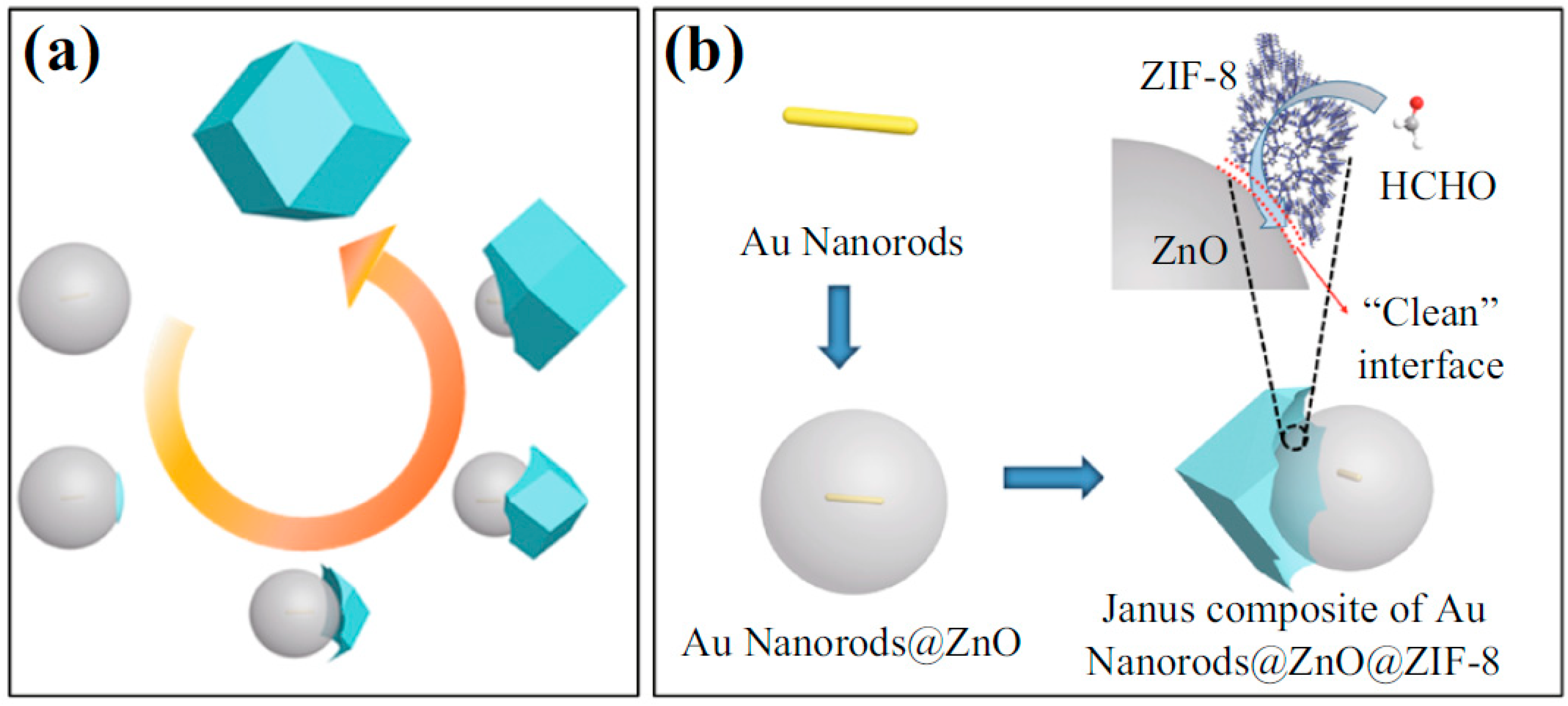 Molecules 26 04948 g003