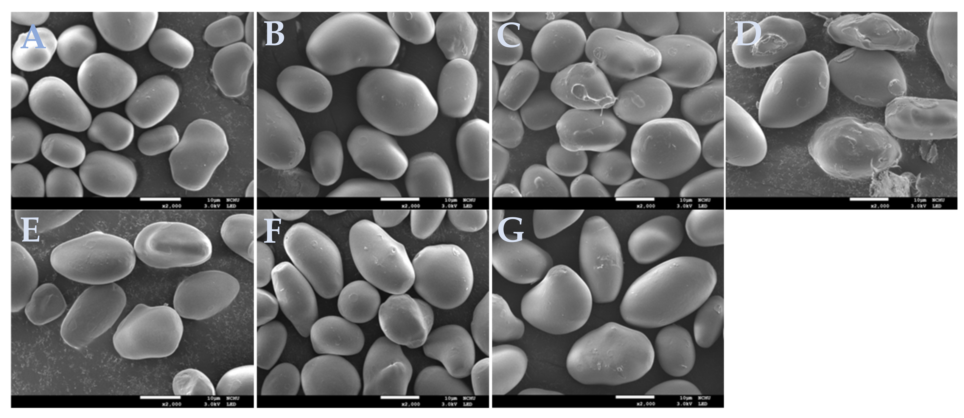 Molecules 26 04974 g001