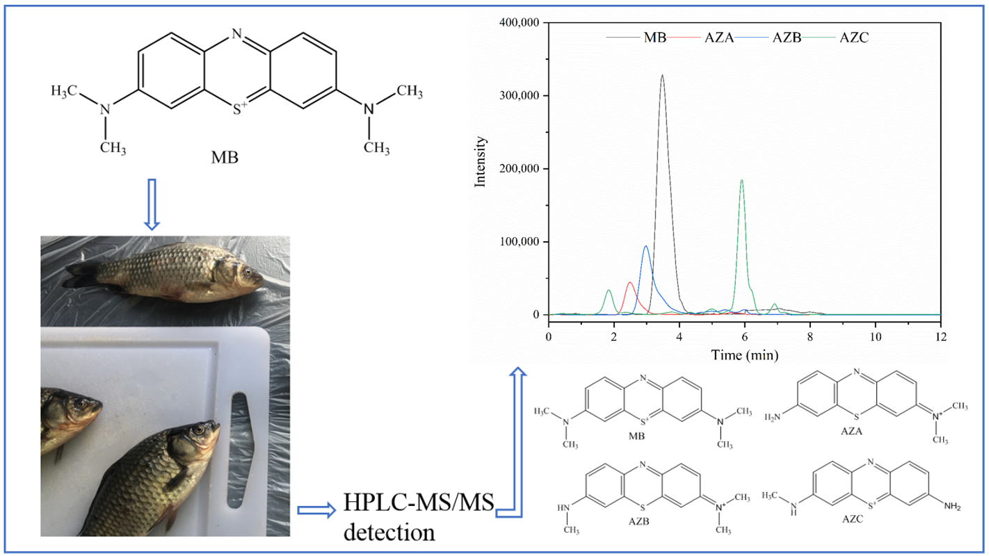 Molecules Free Full Text Determination Of Methylene Blue And Its Metabolite Residues In Aquatic Products By High Performance Liquid Chromatography Tandem Mass Spectrometry Html