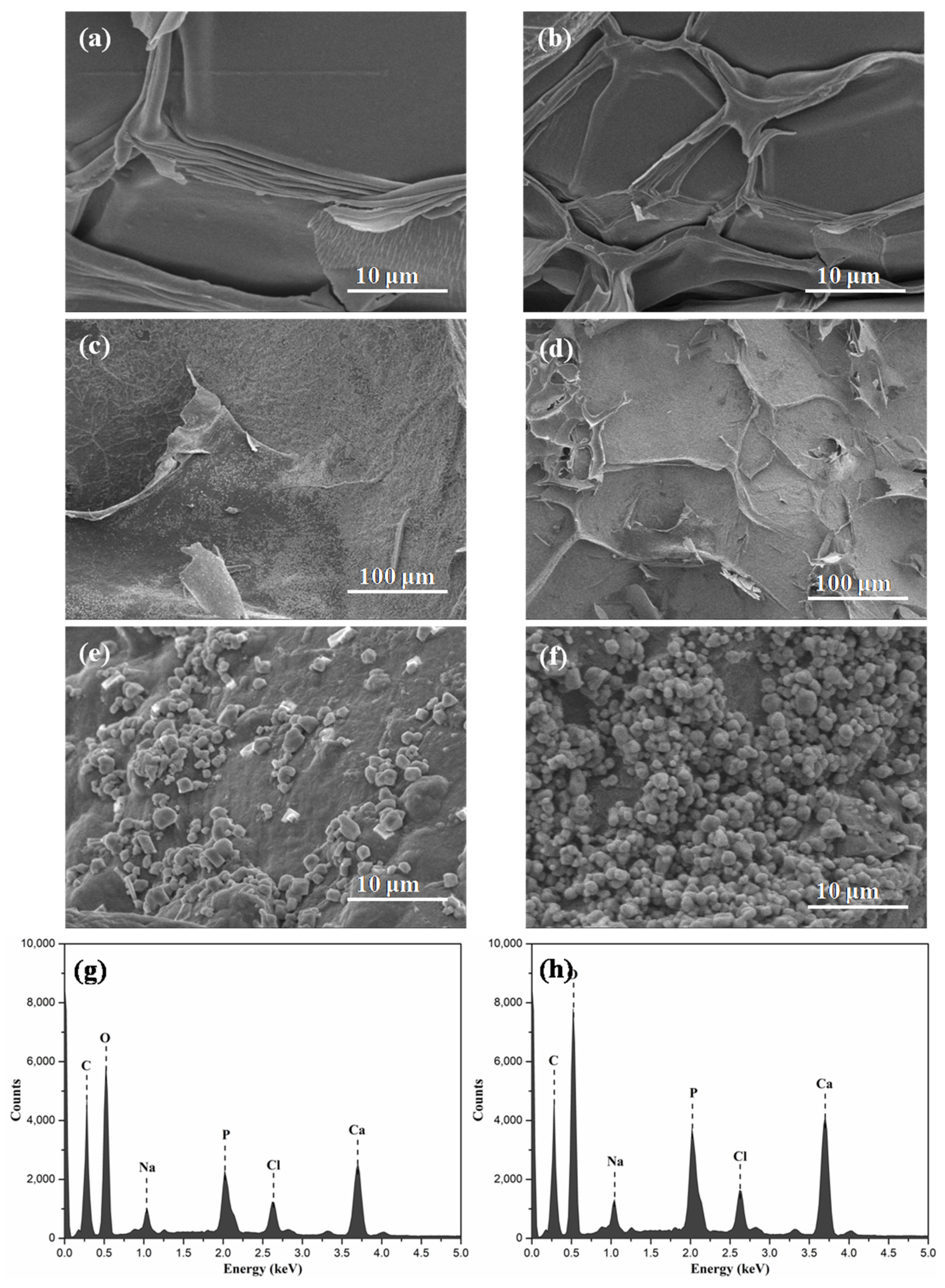 Molecules 26 05003 g007