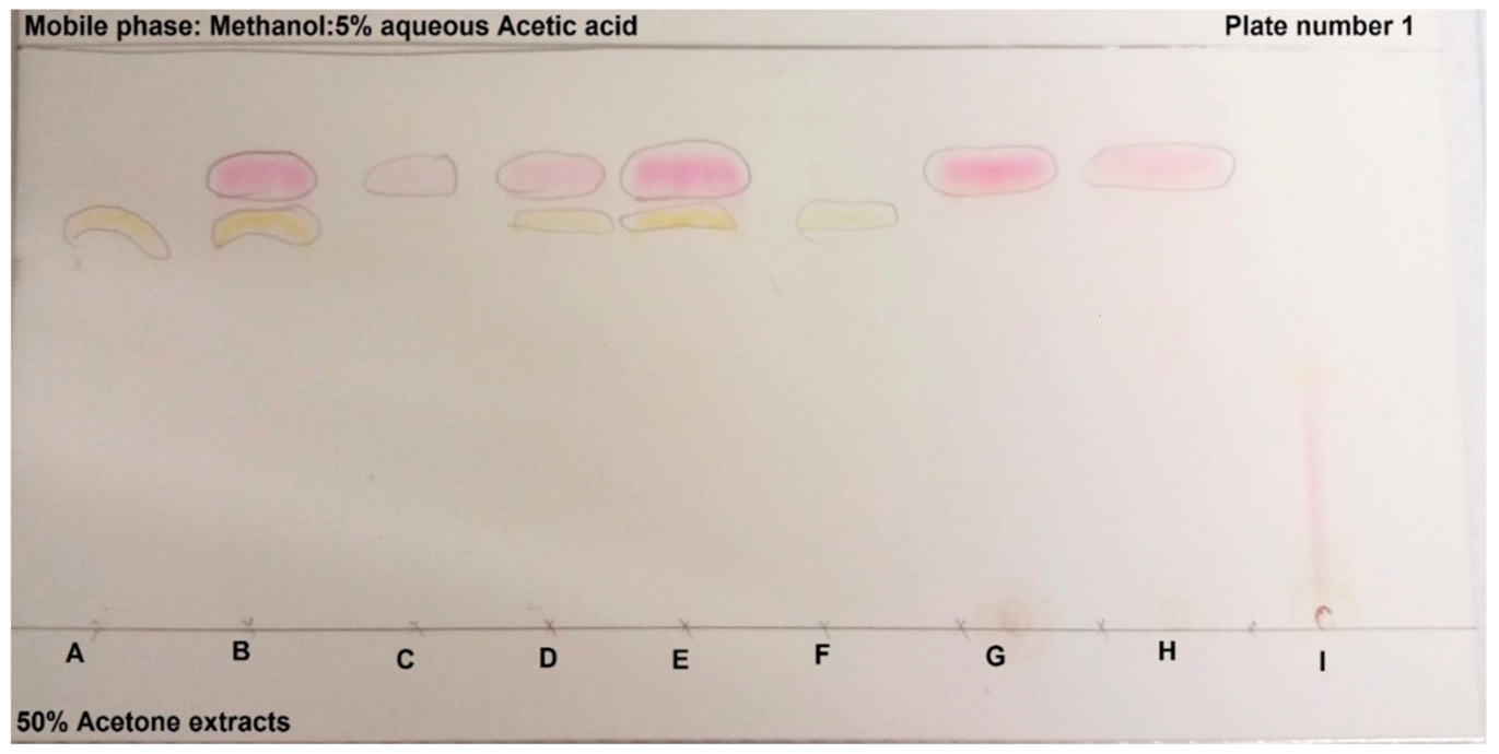 Molecules 26 05012 g001
