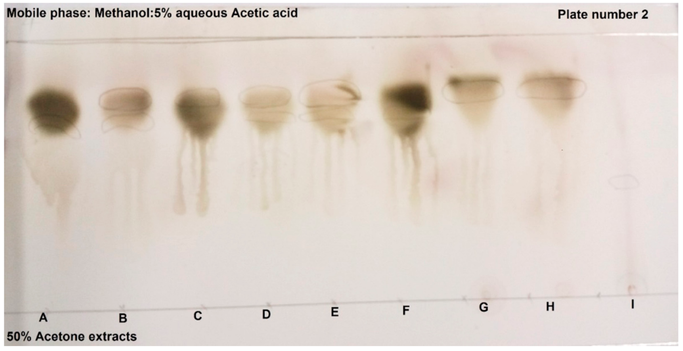 Molecules 26 05012 g002