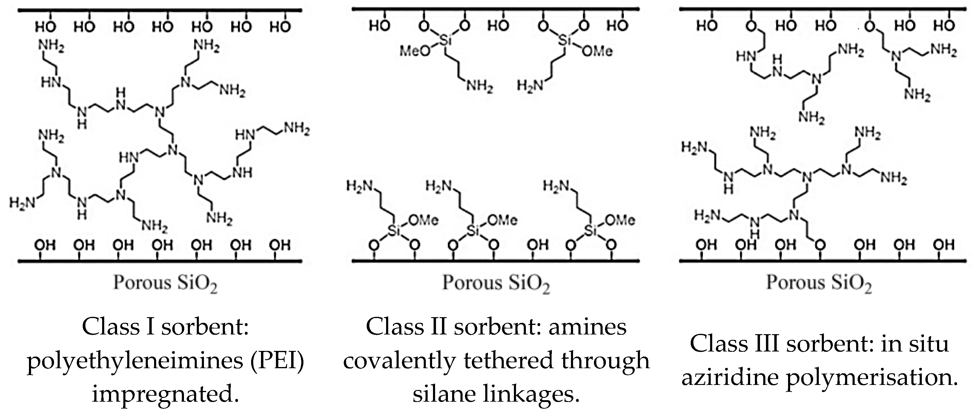 Molecules 26 05023 g004