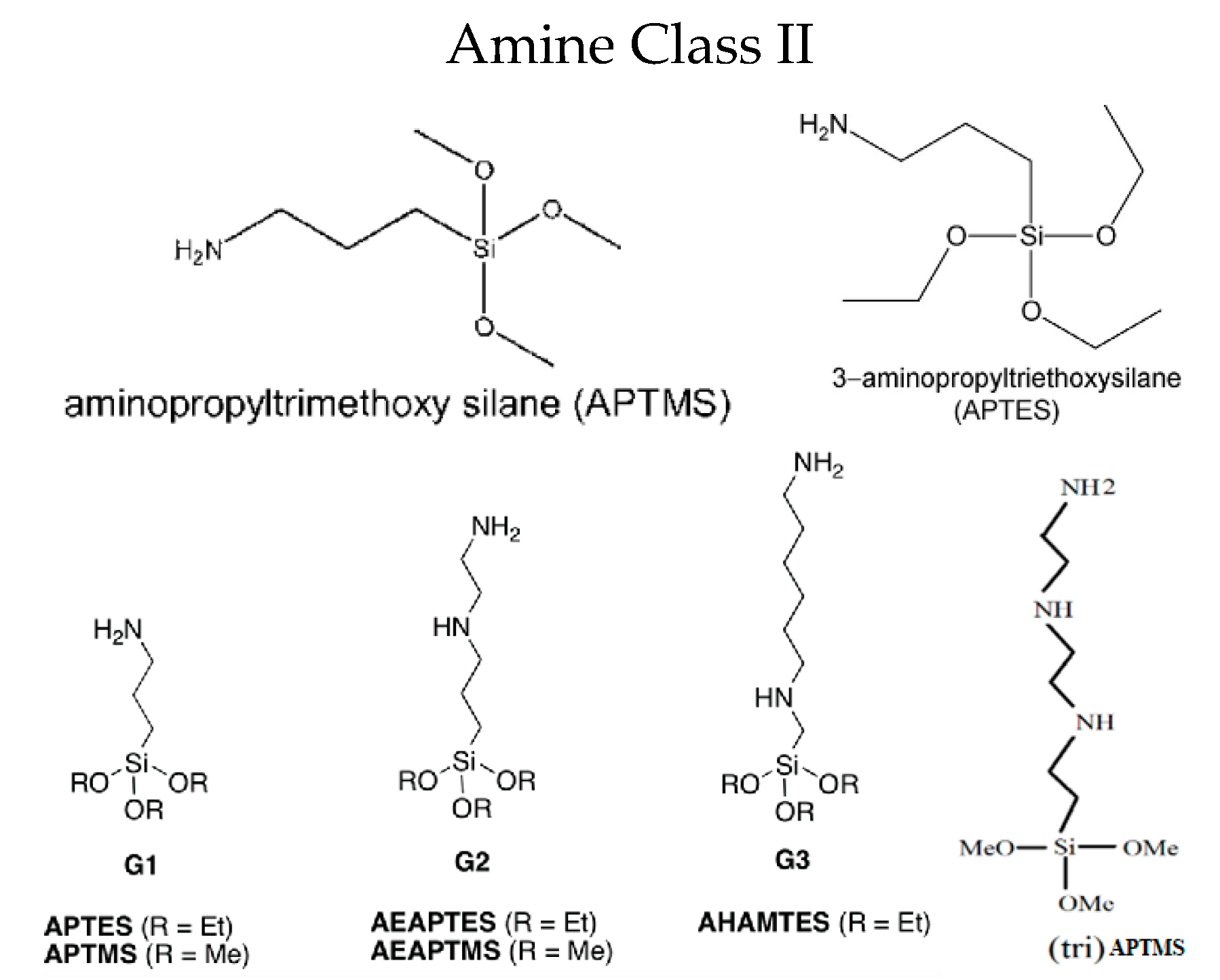 Molecules 26 05023 g005b