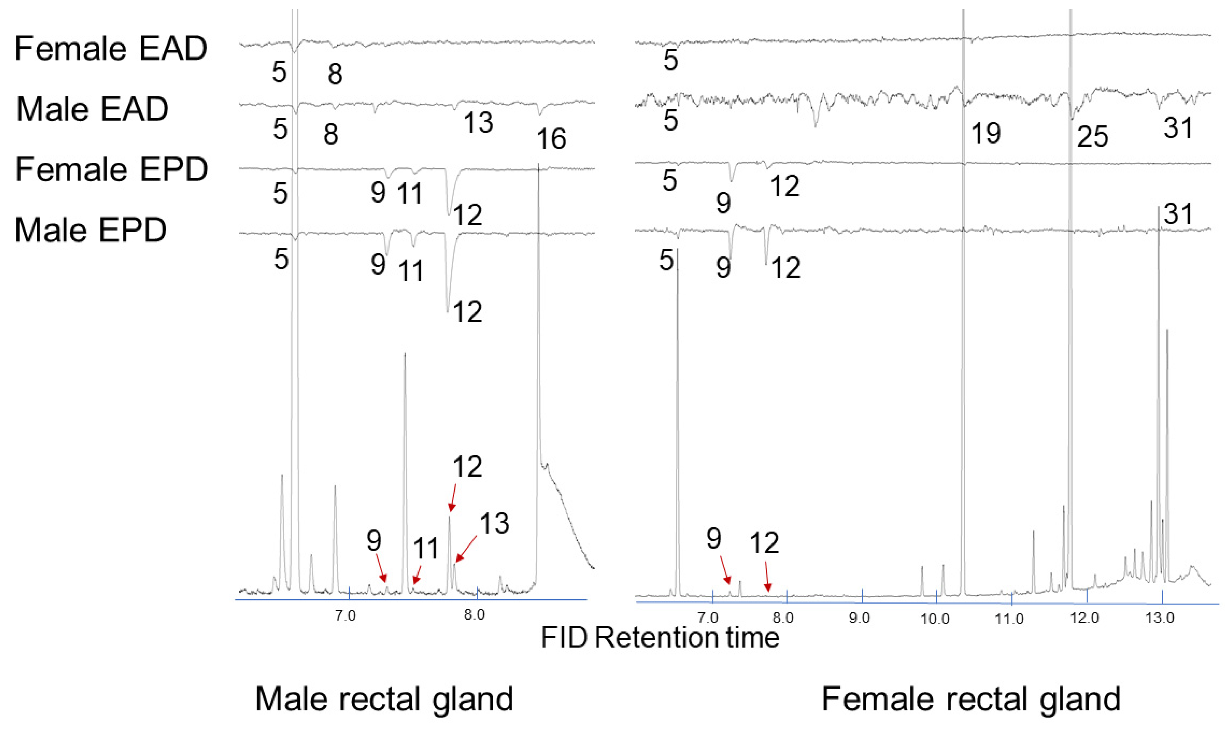 Molecules 26 05024 g002