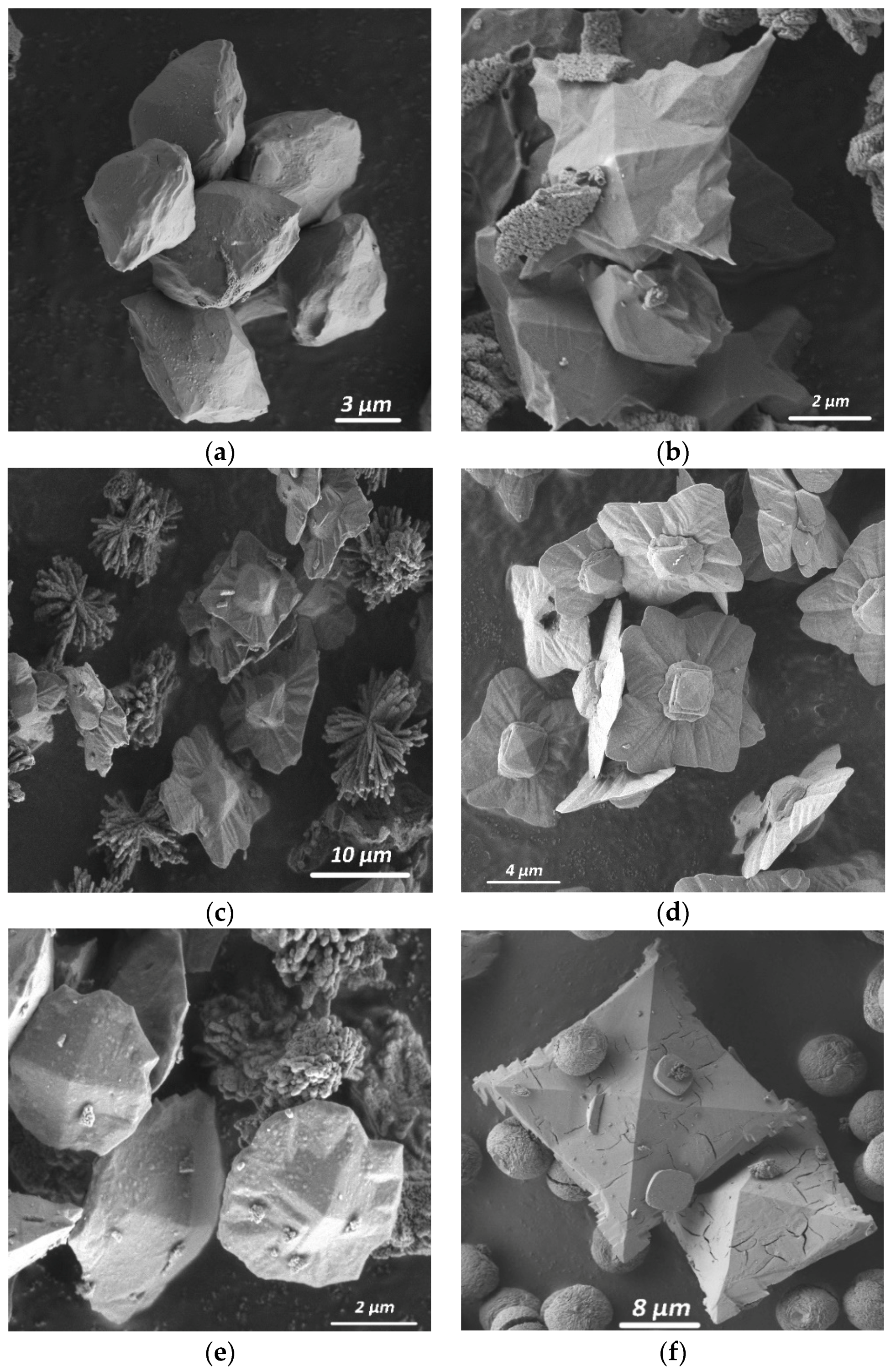 Molecules 26 05030 g004a