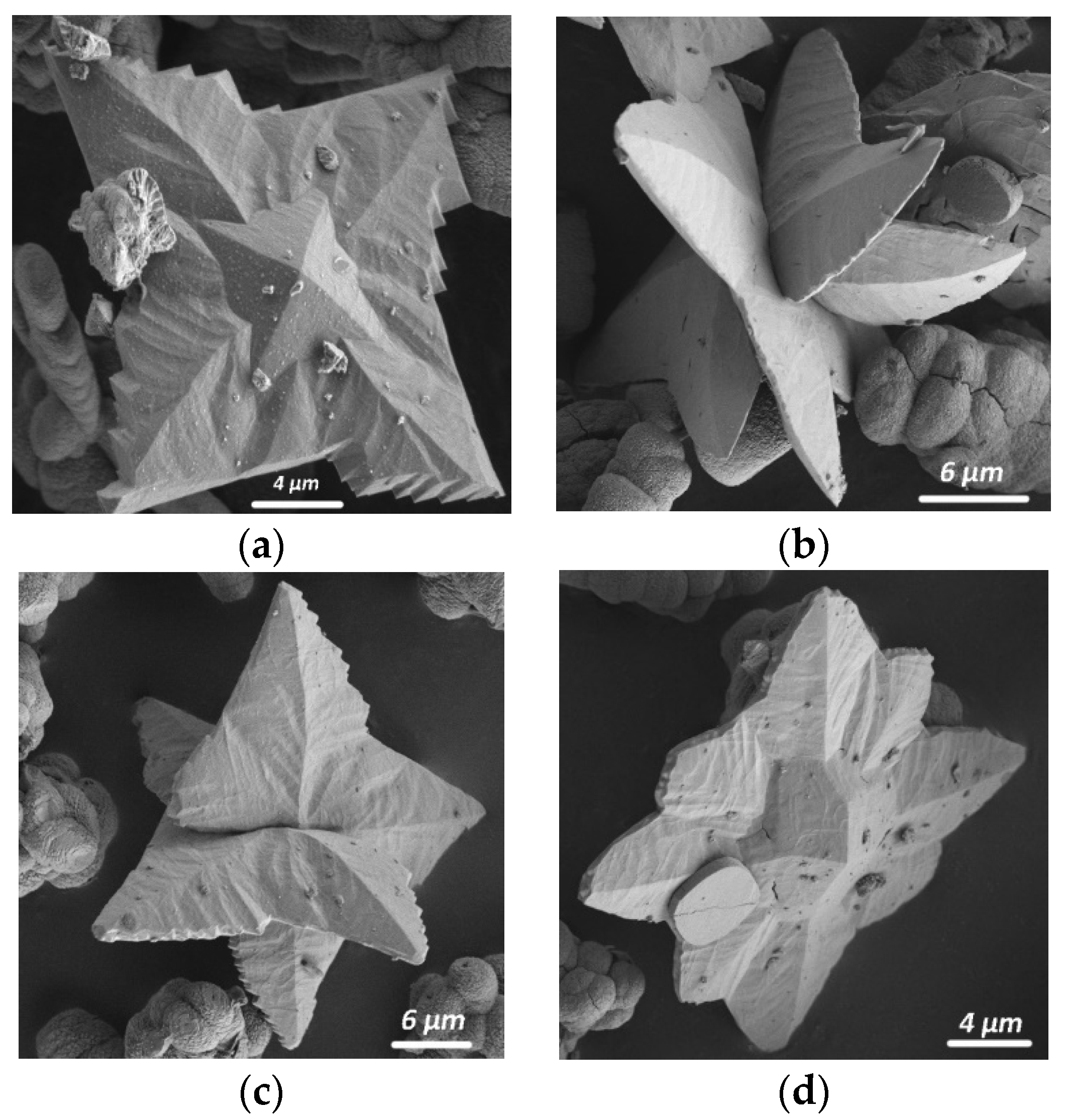Molecules 26 05030 g006