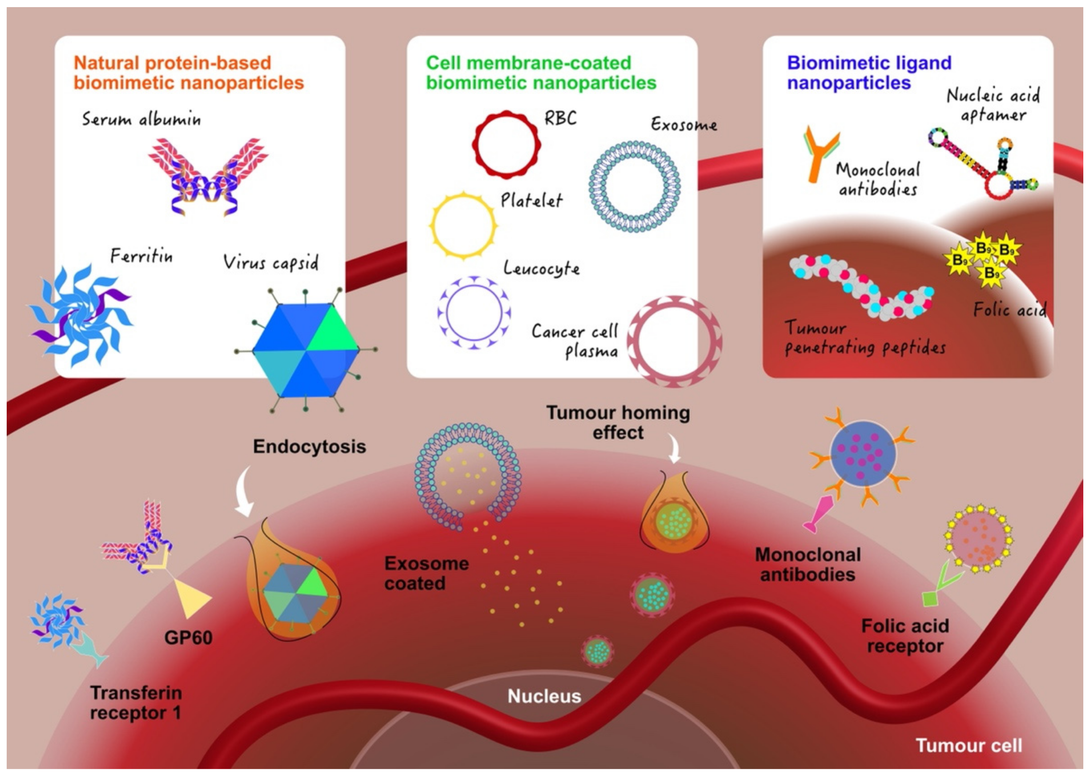 Molecules 26 05052 g002