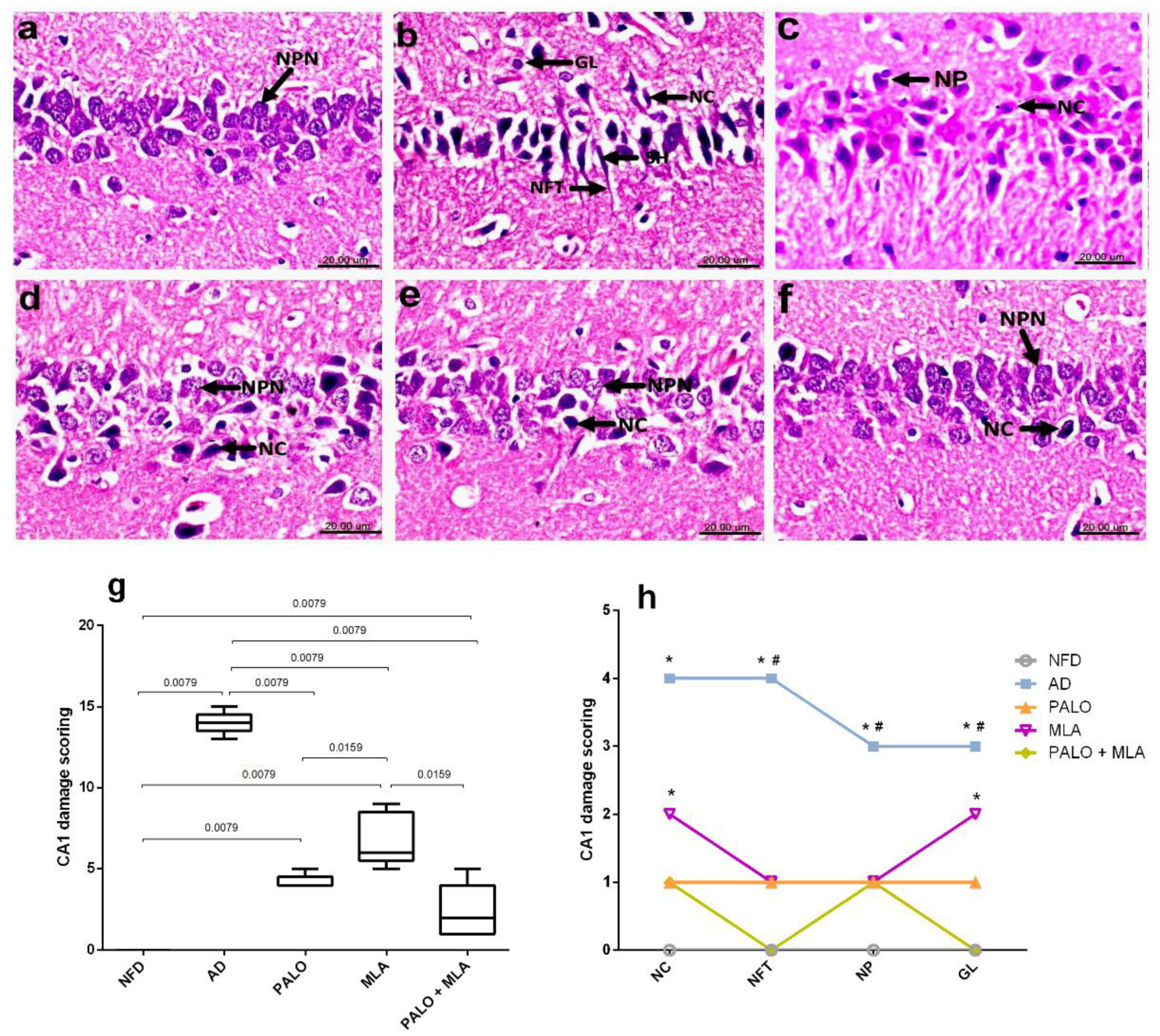 Molecules 26 05068 g008
