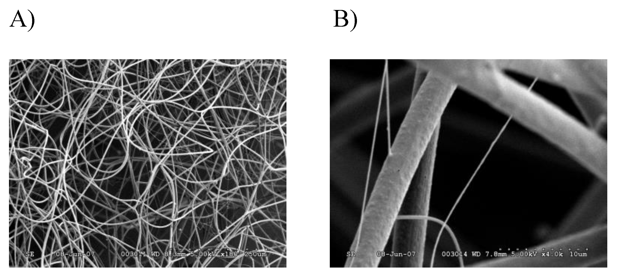 Molecules 26 05088 g002