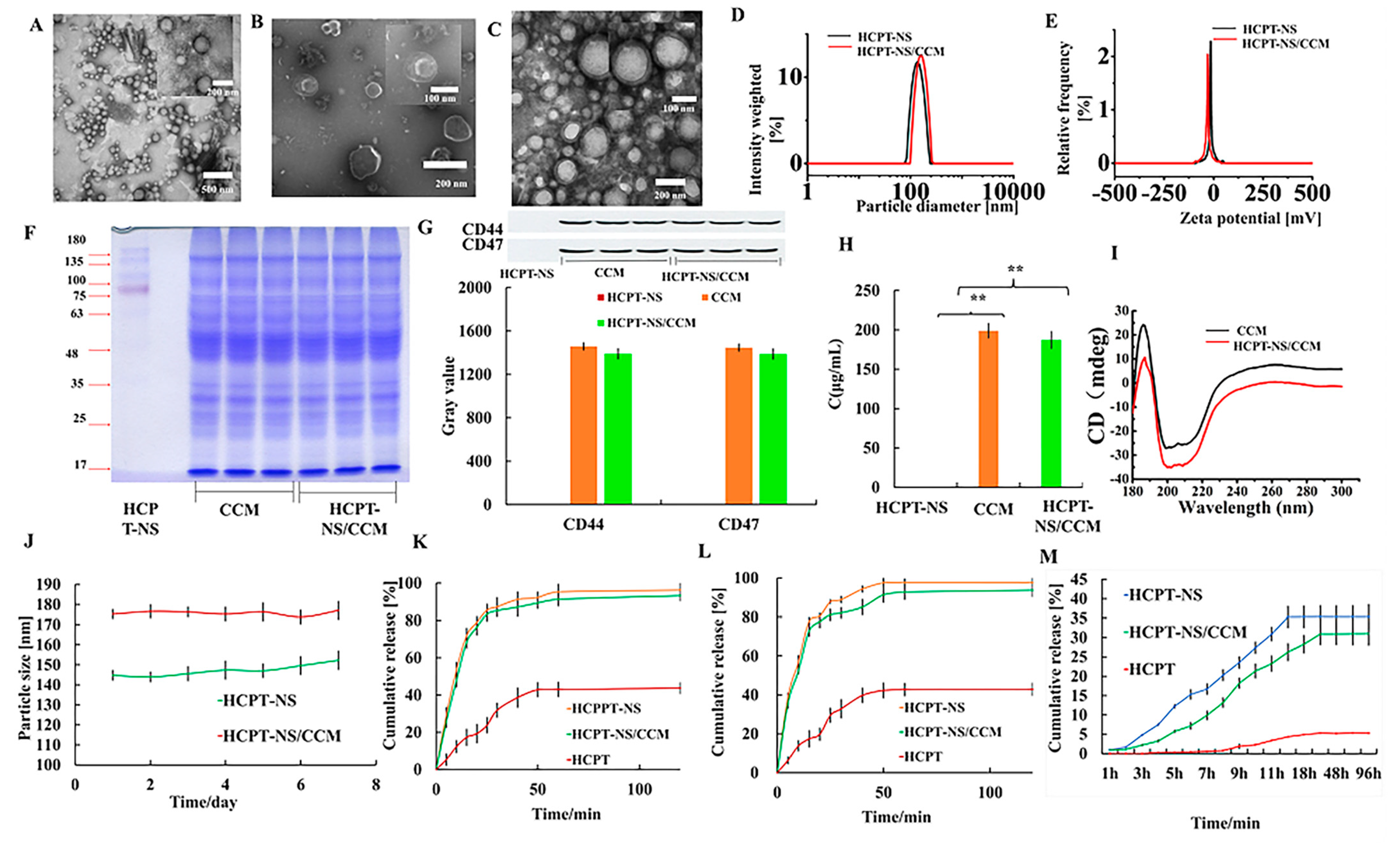 Molecules 26 05103 g002