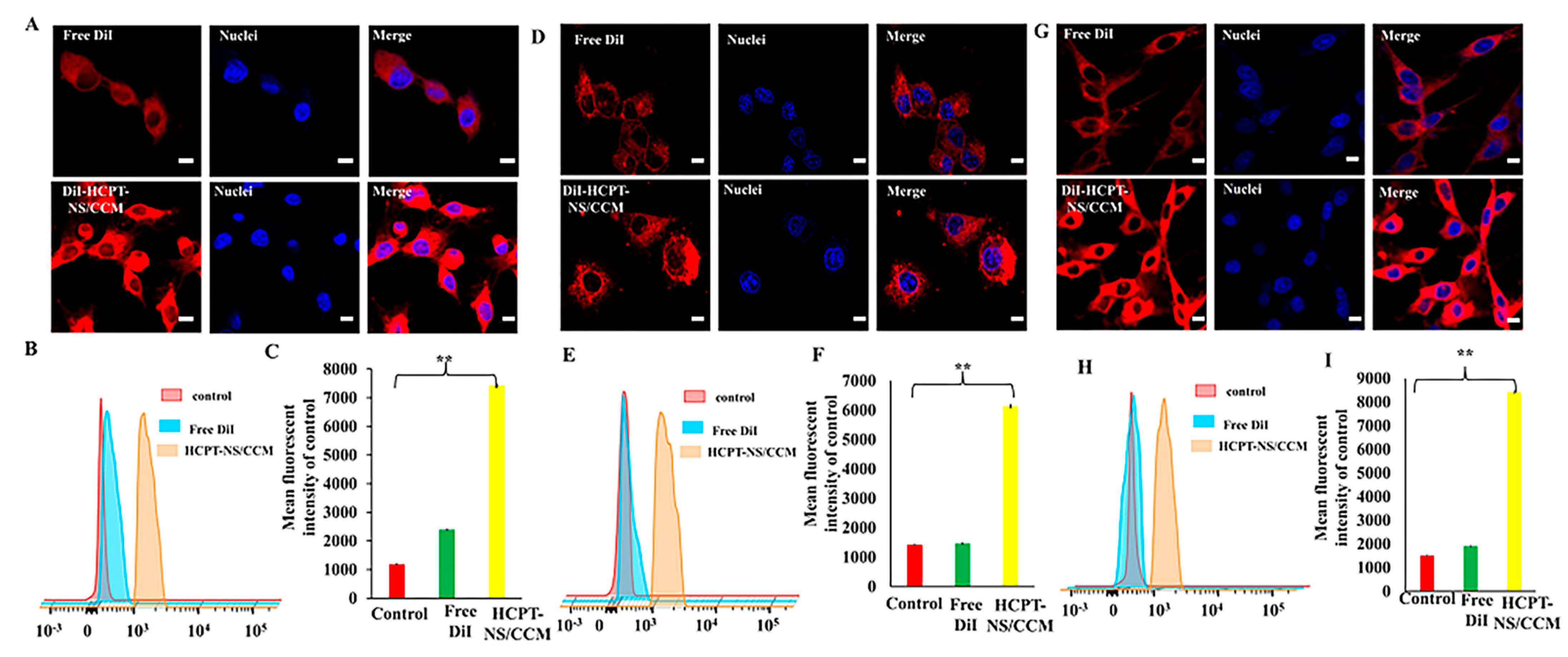 Molecules 26 05103 g003