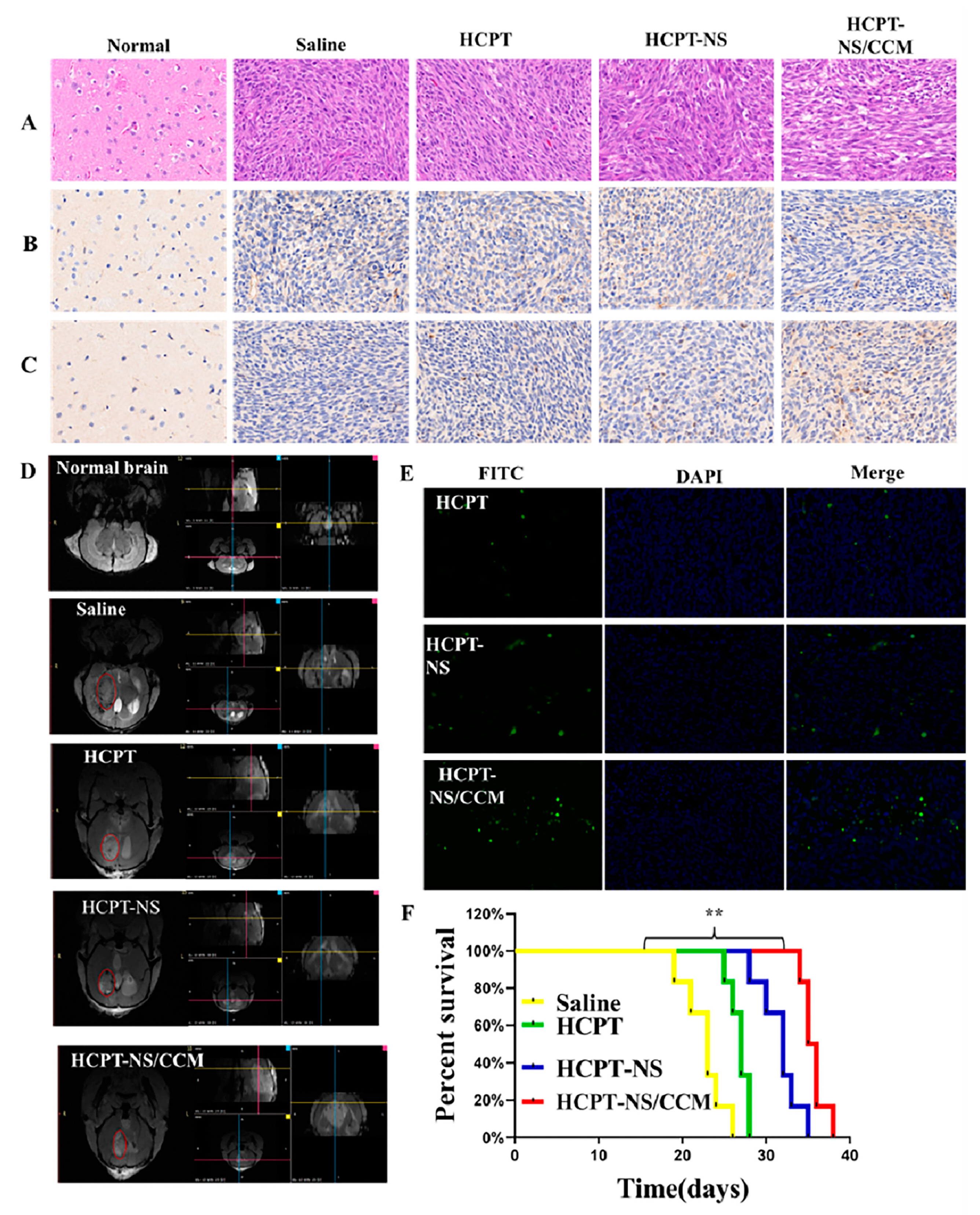 Molecules 26 05103 g006