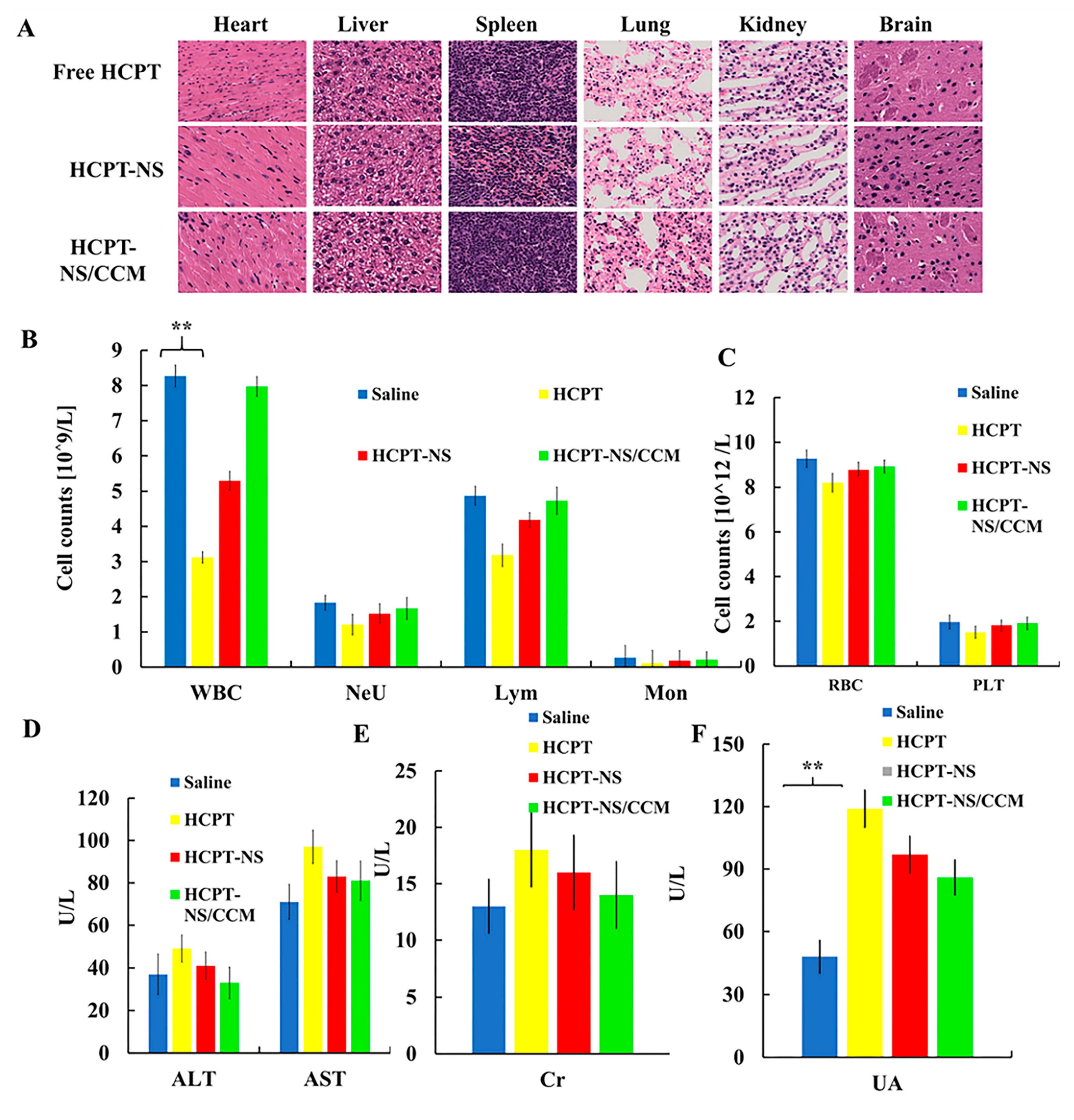 Molecules 26 05103 g007