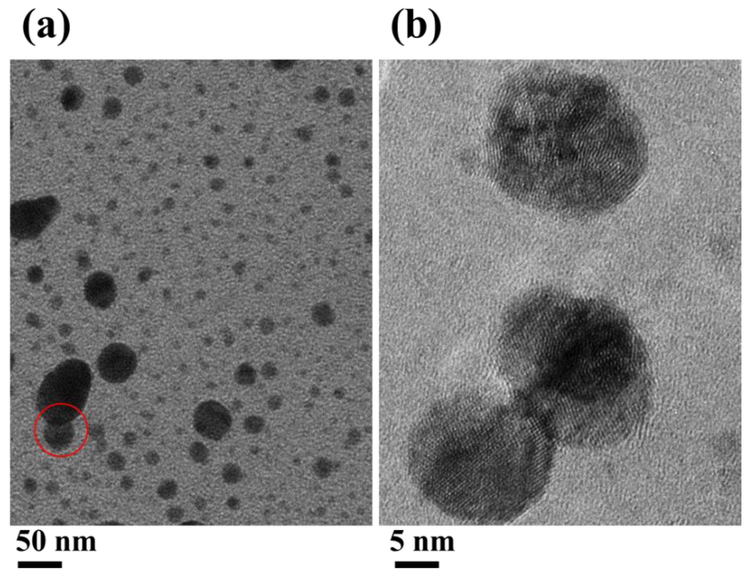 Molecules 26 05106 g006