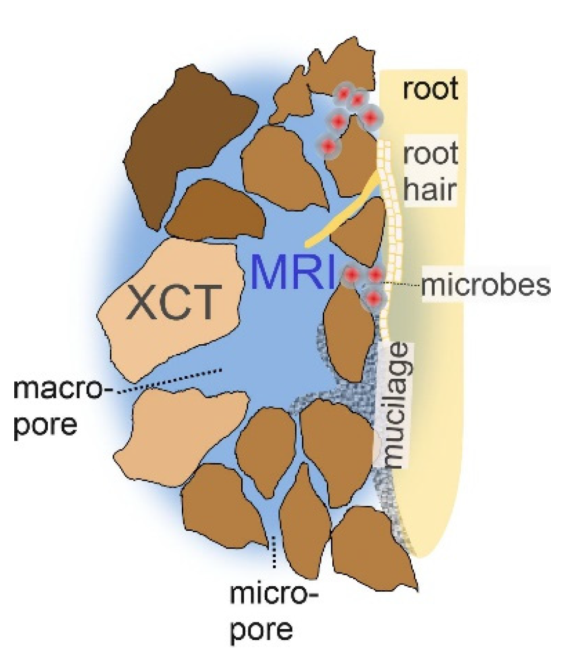 Molecules 26 05130 g001
