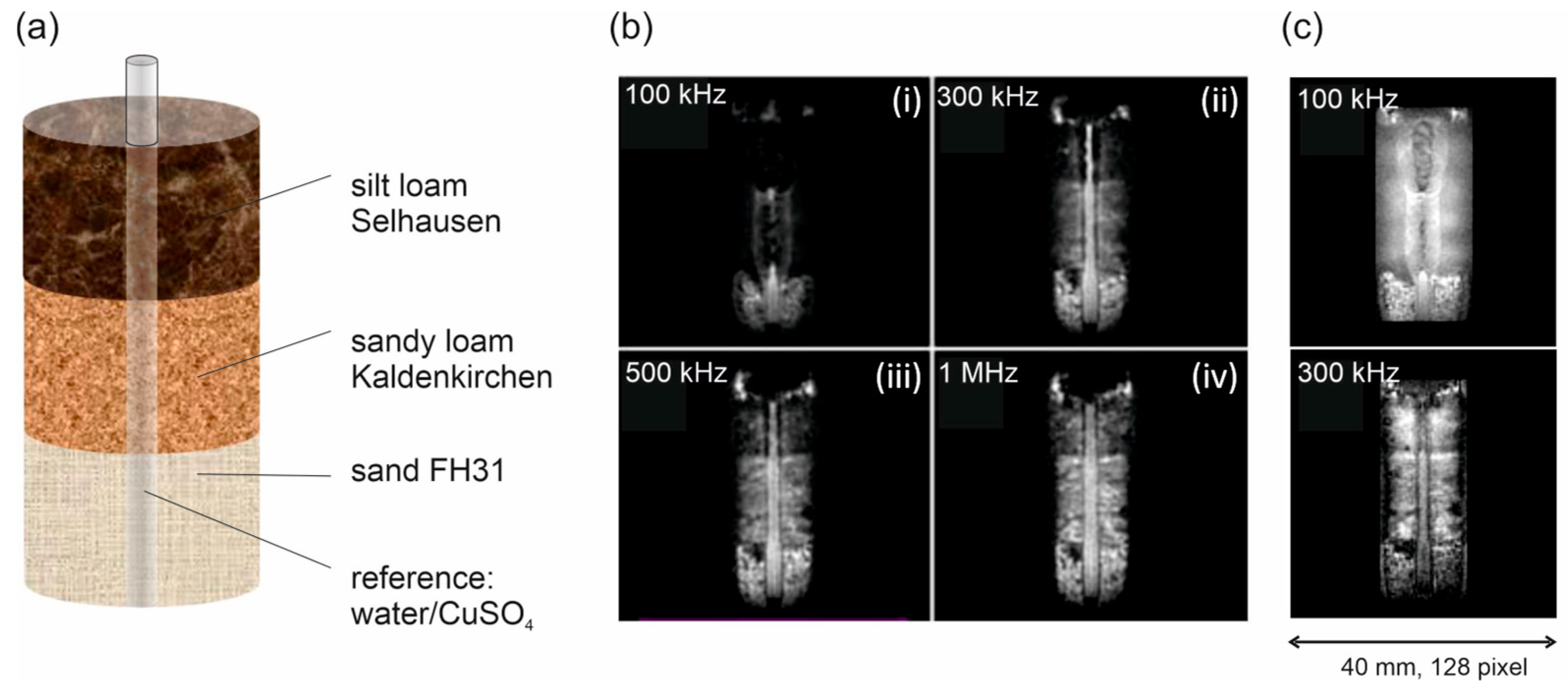 Molecules 26 05130 g004