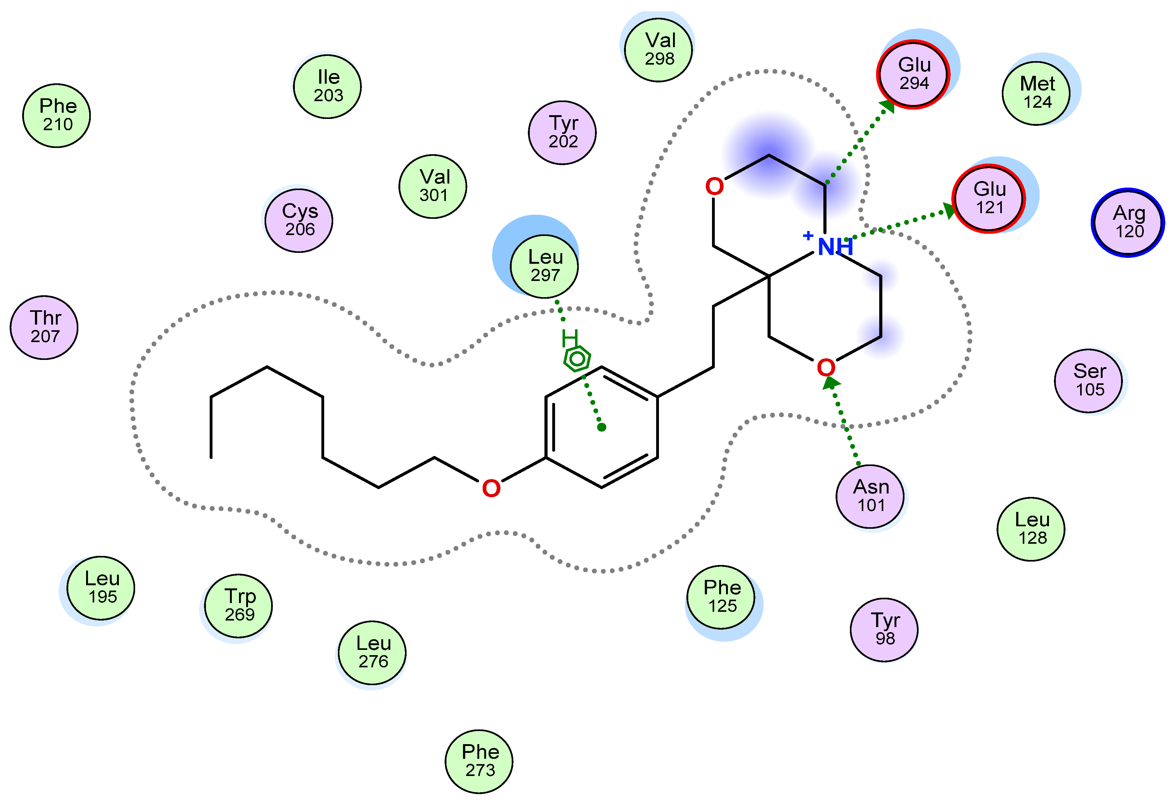 Molecules 26 05134 g002