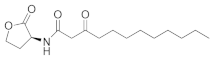 Molecules 26 05135 i003
