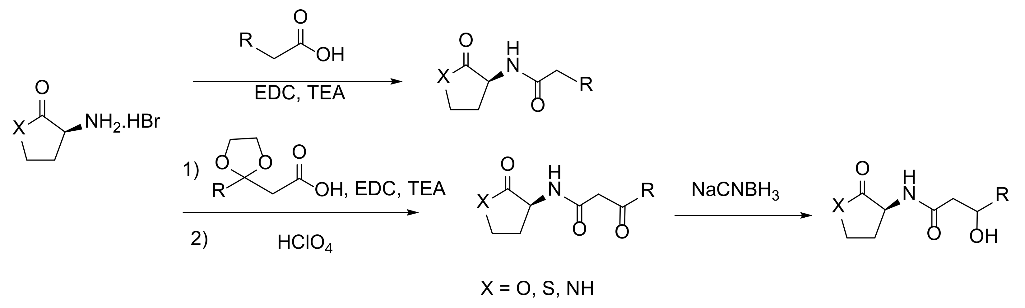 Molecules 26 05135 sch001