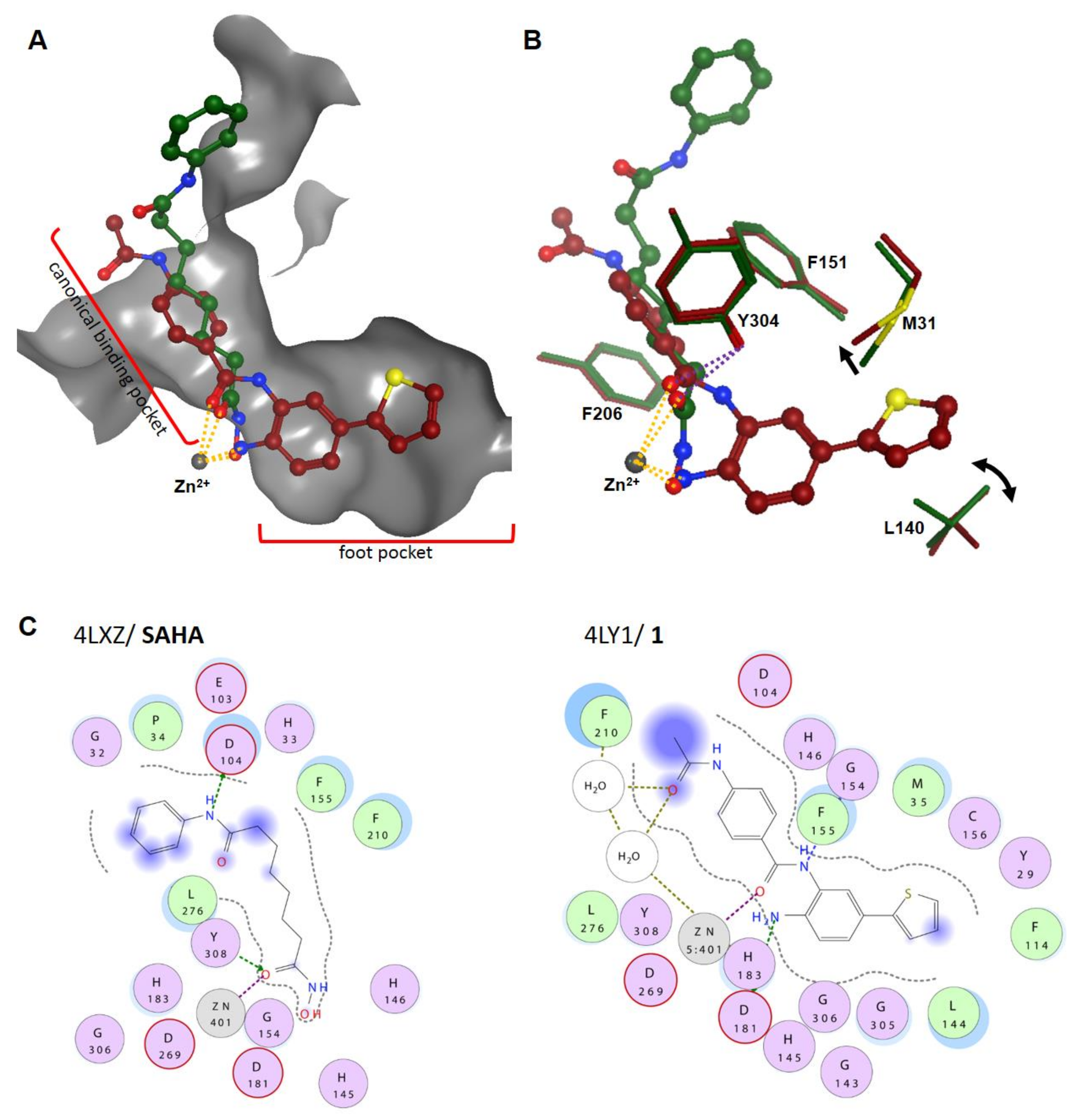 Molecules 26 05151 g004 Molecules 26 05151 g004