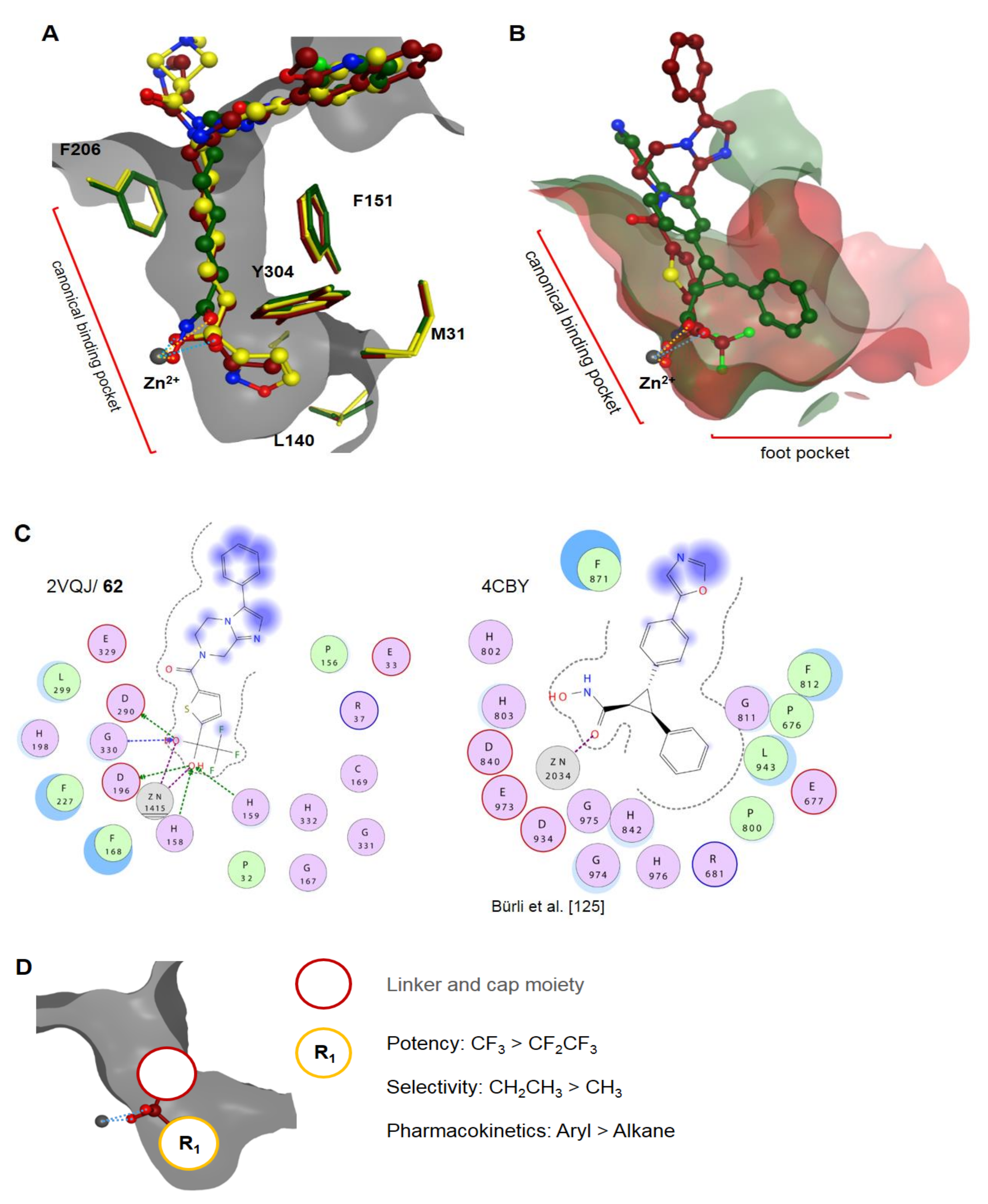 Molecules 26 05151 g015 Molecules 26 05151 g015