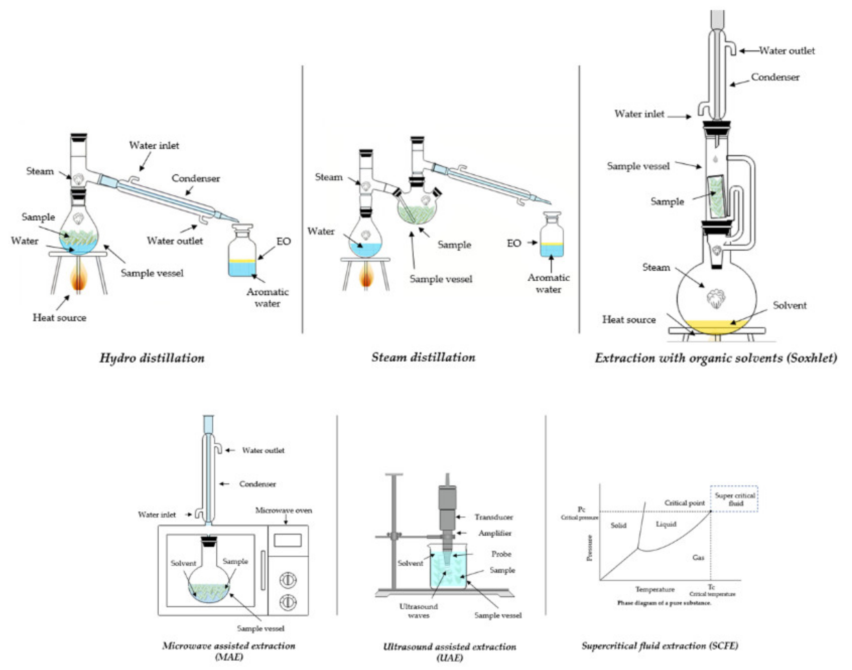 Molecules 26 05156 g002