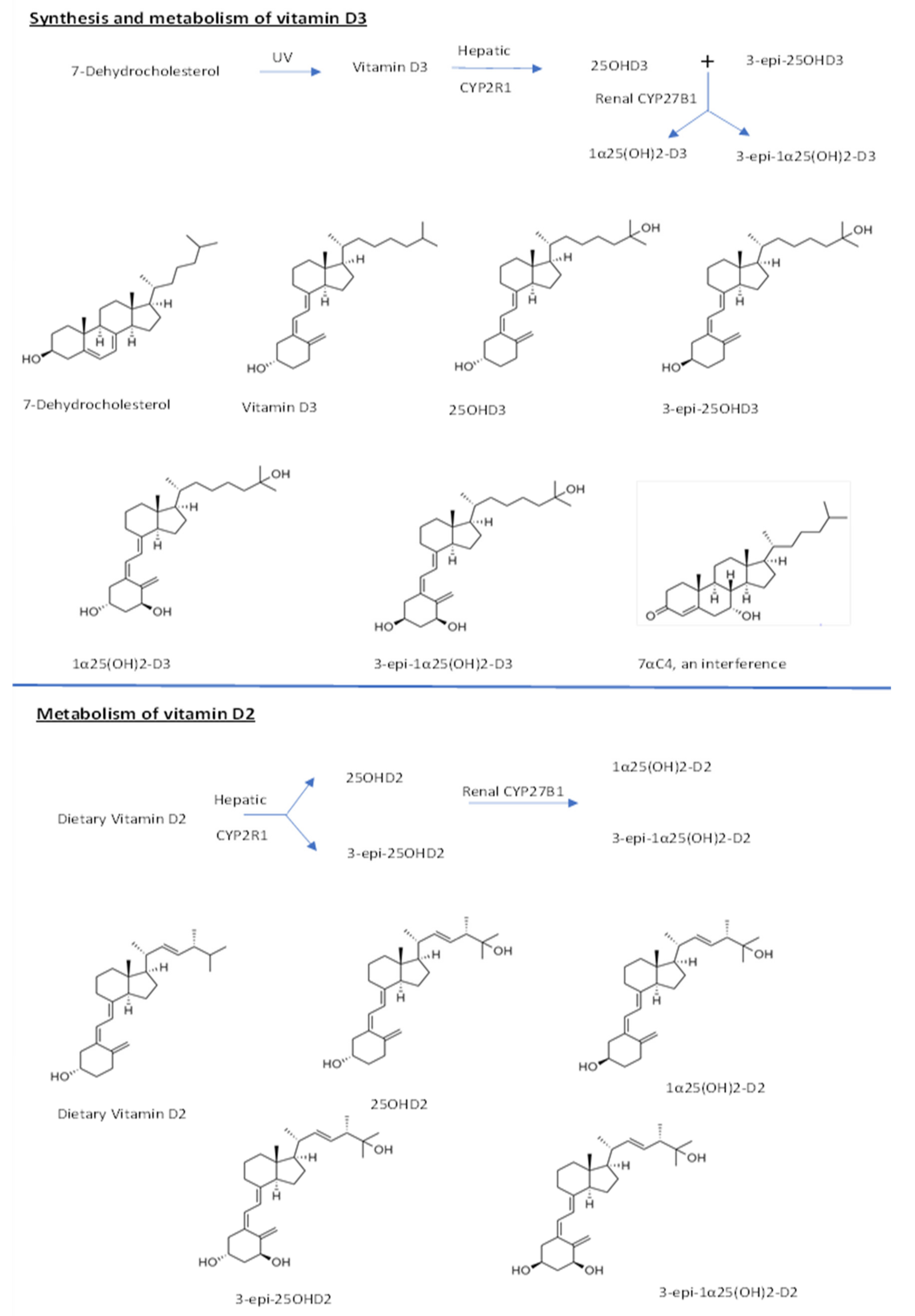 Molecules 26 05182 g001
