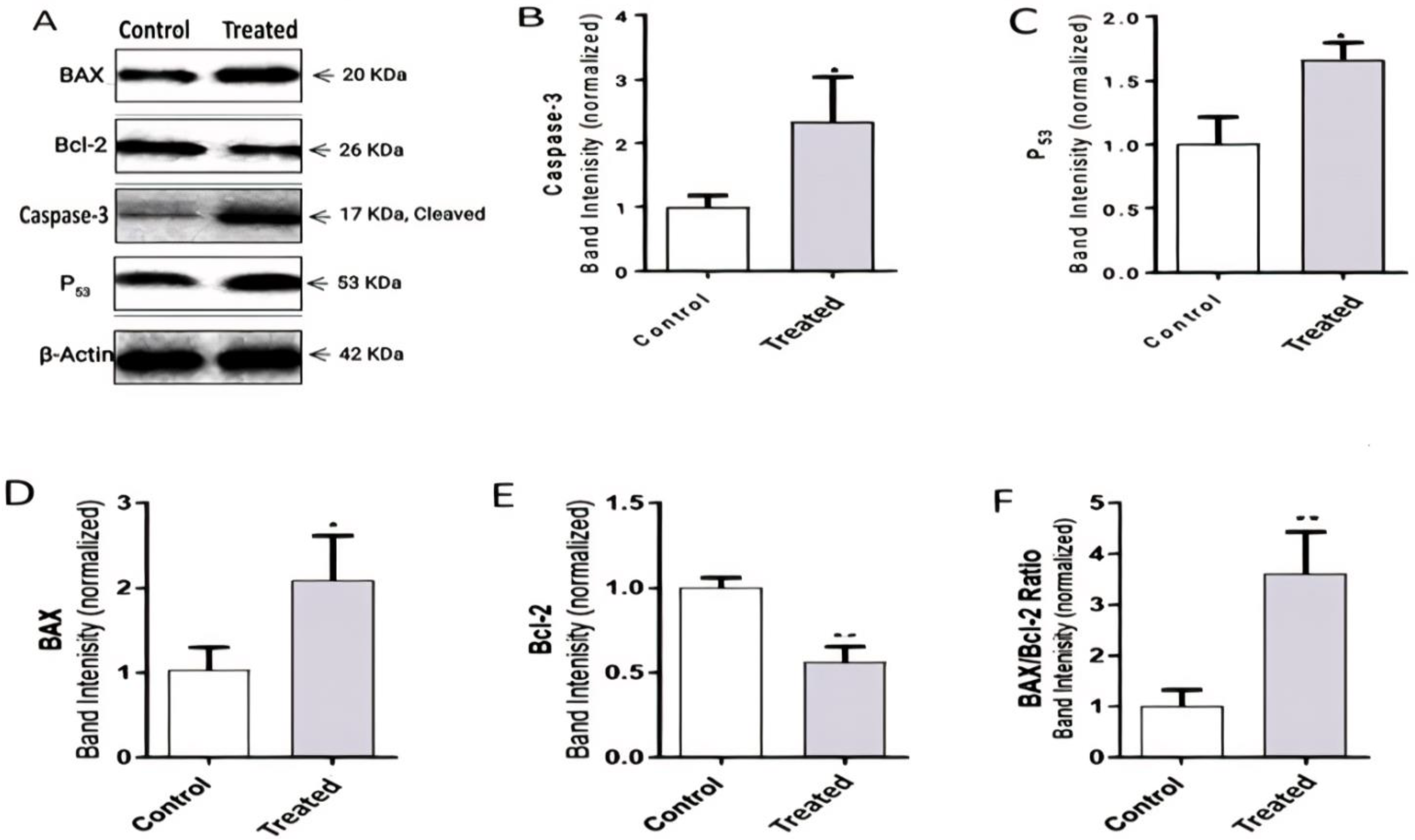 Molecules 26 05185 g005 Molecules 26 05185 g005